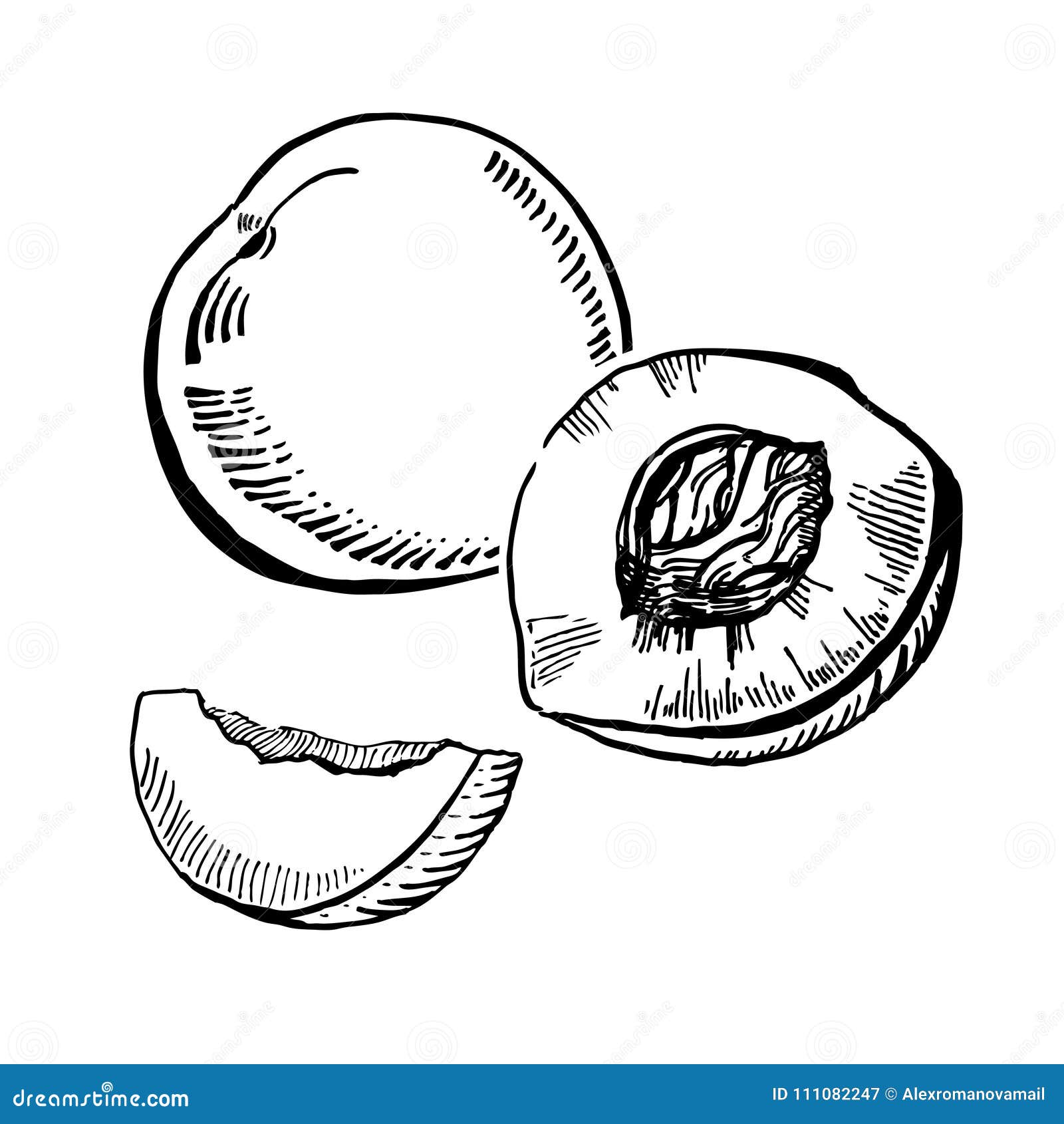 Vector Hand Drawn Black and White Ink Peaches with Slice Stock Vector