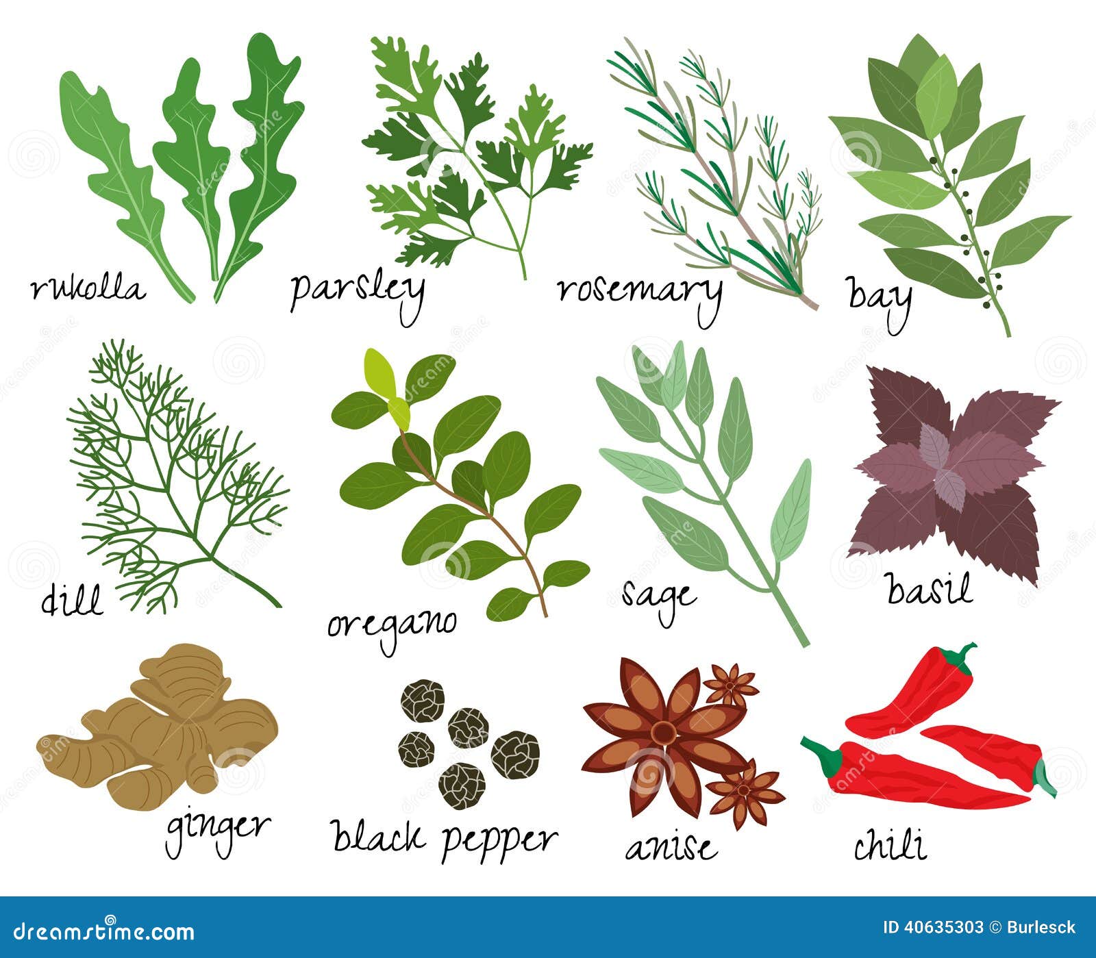 Vector herbs and spices stock vector. Illustration of ... on {keyword}