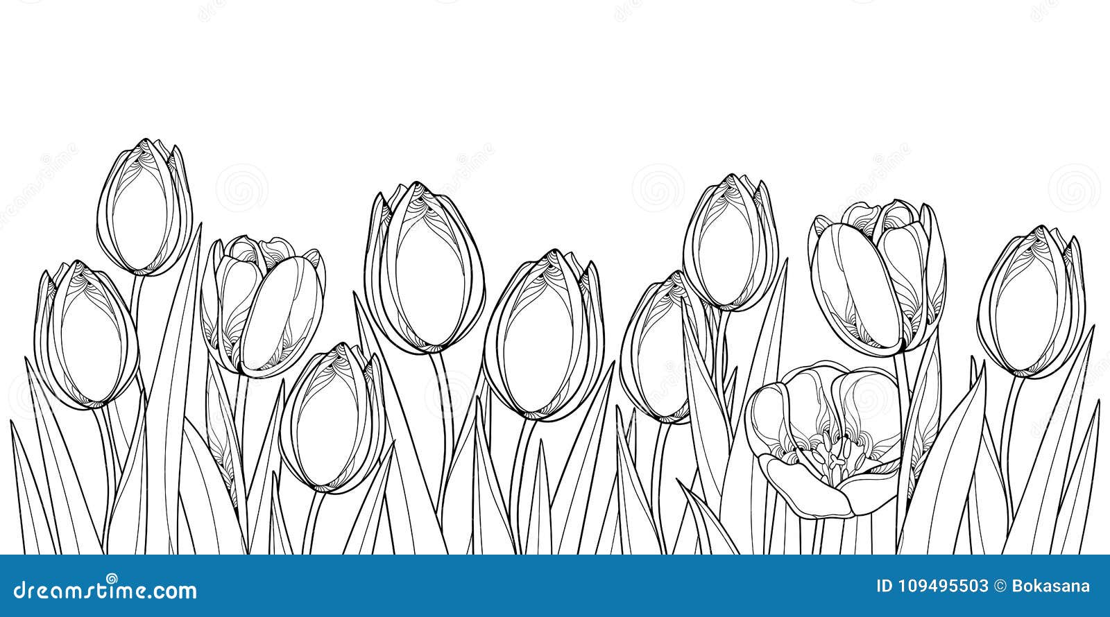  horizontal border with outline tulip flowers, bud and ornate leaves in black  on white background.