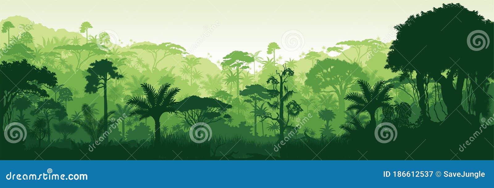 Vector Horizontal Tropical Rainforest Brazil Jungle Background Stock Vector  - Illustration of colombia, flora: 186612537