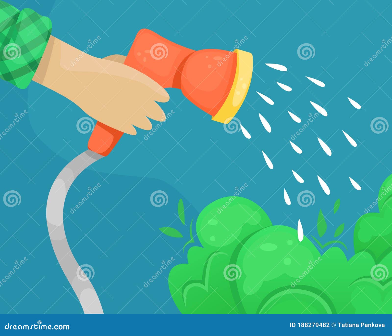  hose with water nozzle in hand. watering of plantings