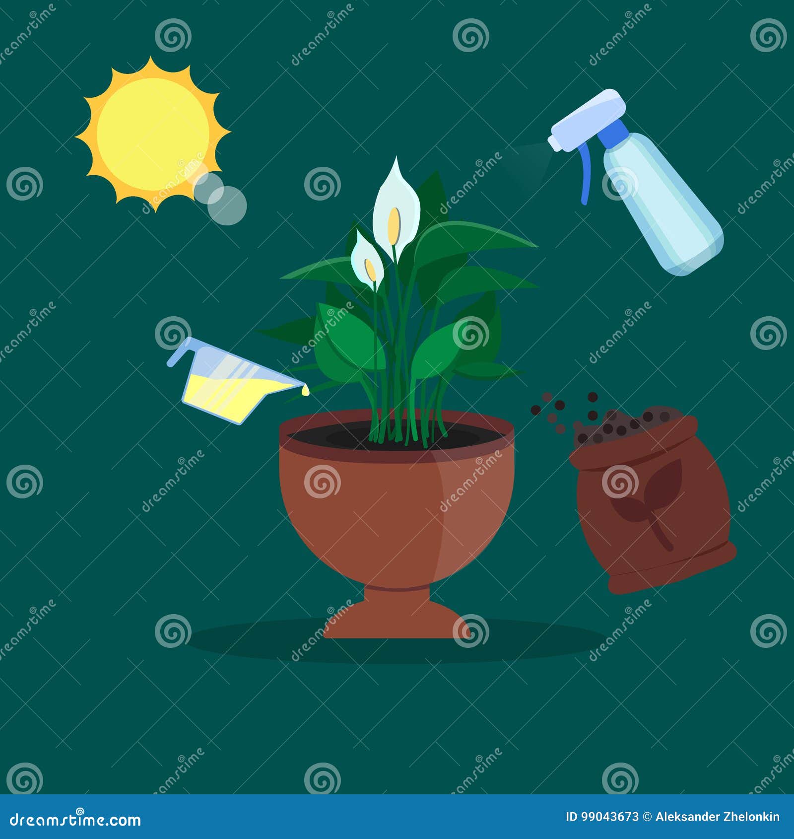 Calathea: growing and care (INFOGRAPHICS) Calathea: growing and care (INFOGRAPHICS)
