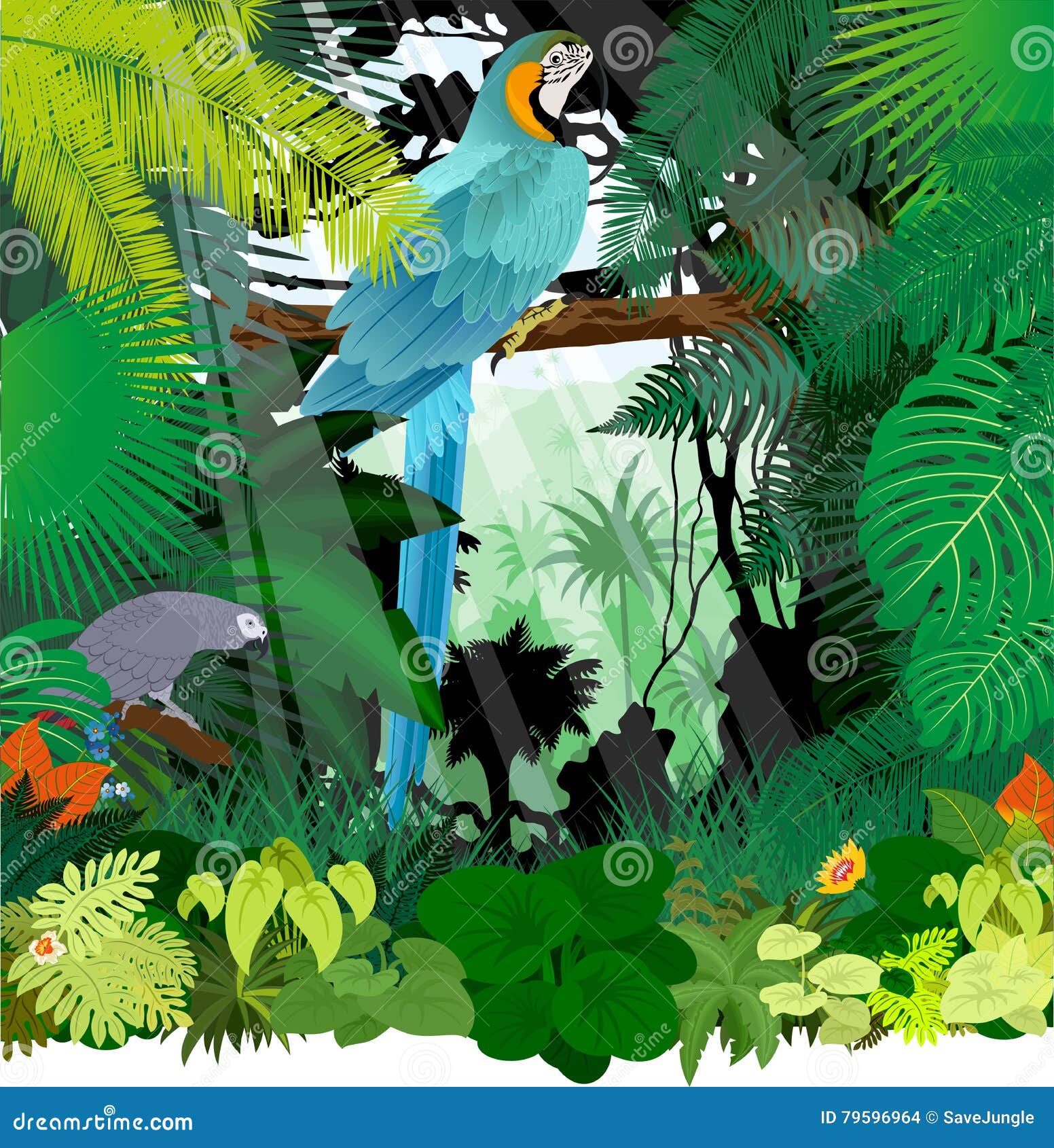 Libro Da Colorare Cacatua Pappagallo Nella Foresta Pluviale | Vettore - Foto 2