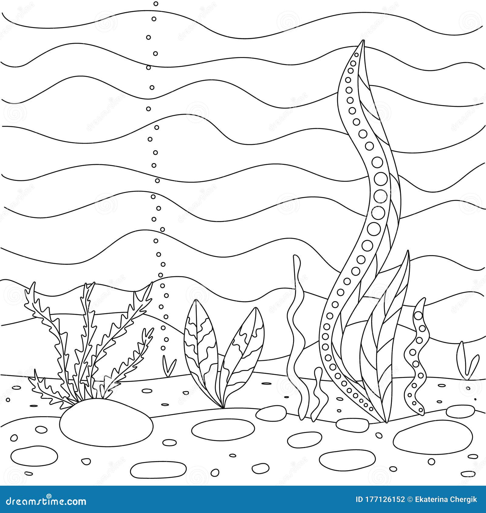 vector illustration with algae sea bottom simple funny children s drawing cute coloring book for small stock of objects bubble 177126152 coloriage d est pour dragon