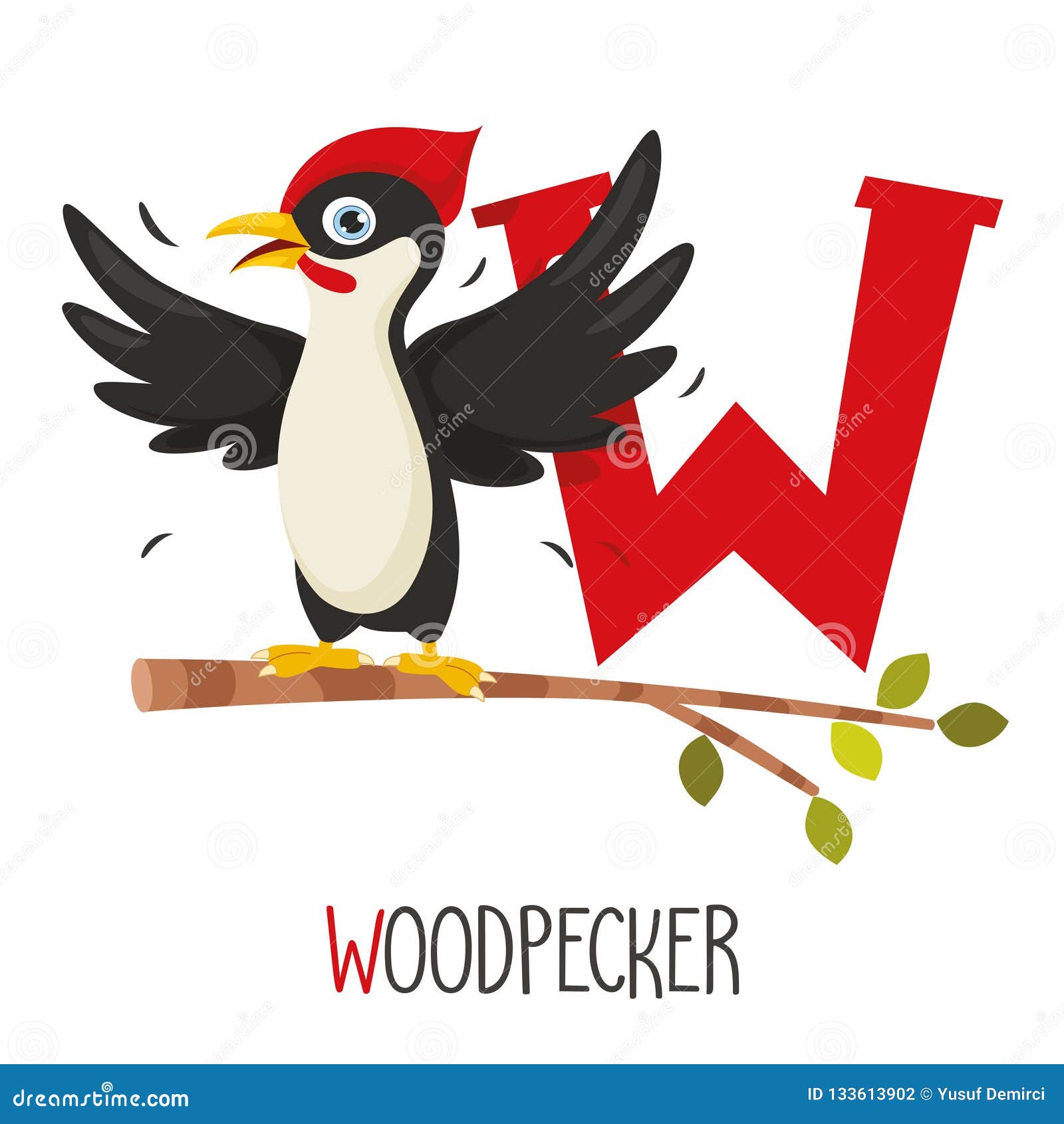 Vector Illustration of Alphabet Letter W and Woodpecker Stock Vector