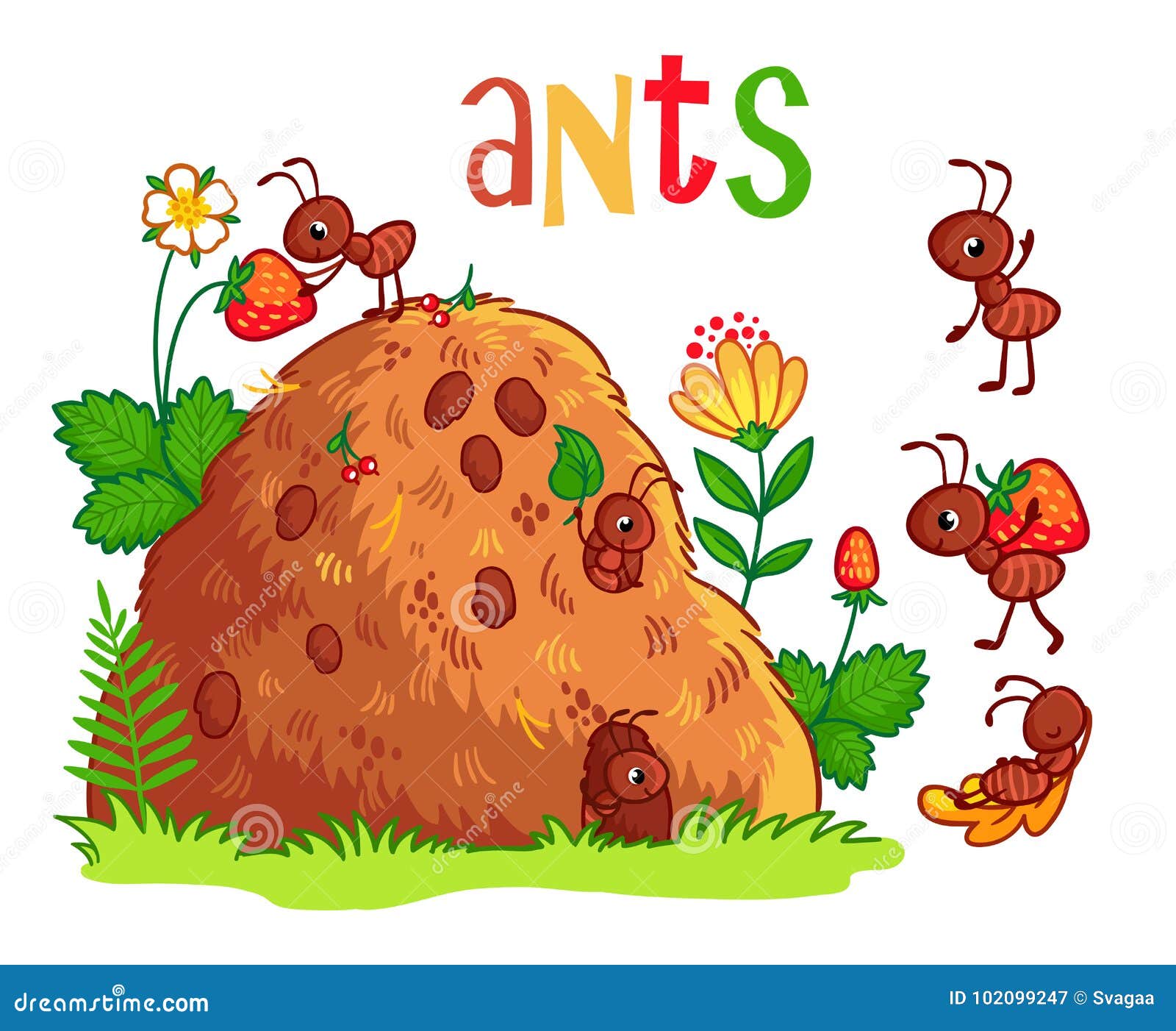   with an anthill and ants.