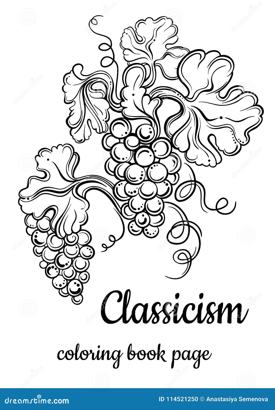   of antique decorative s. hand drawn bunch of grapes in black outlines  on white. classicism.