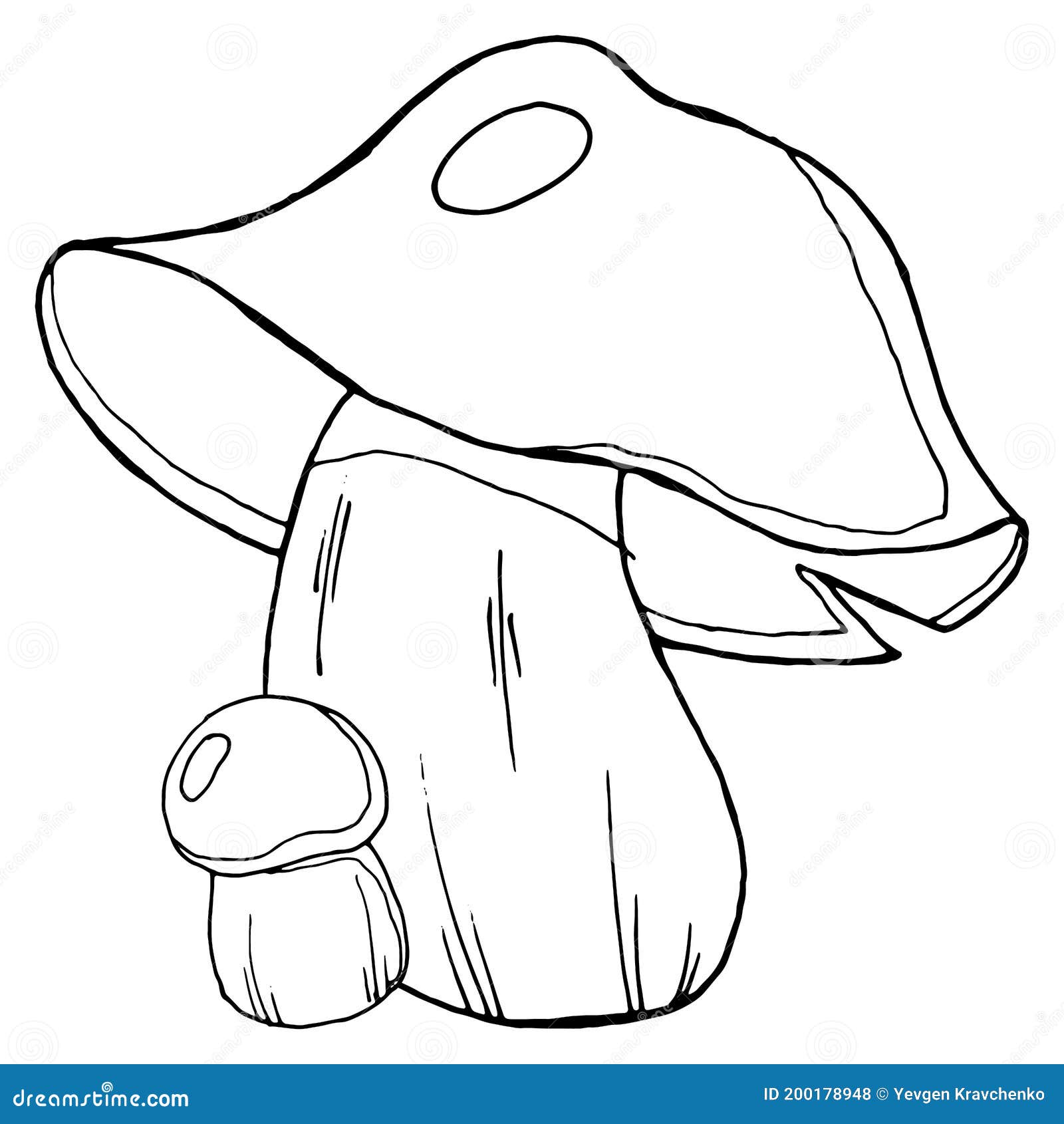 Mushroom Icon. Vector Illustration of Autumn Mushrooms. Hand Drawn ...