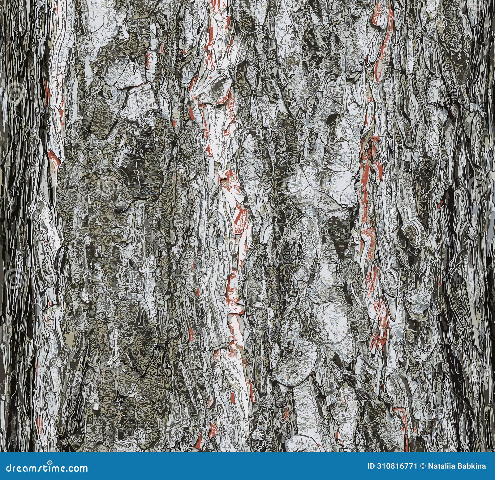   of a background of the bark of a pinus nigra tree, family pinaceae