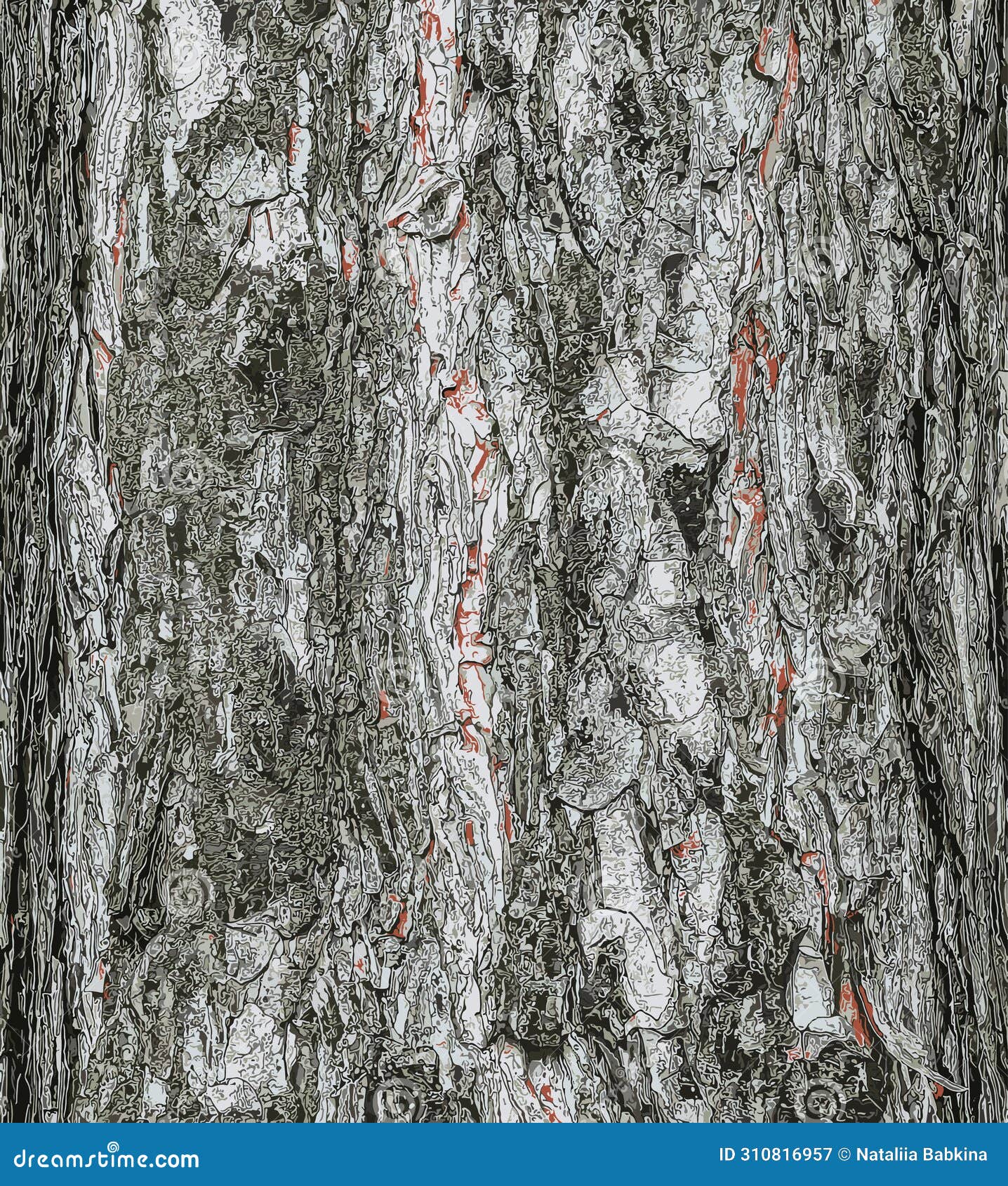   of a background of the bark of a pinus nigra tree, family pinaceae