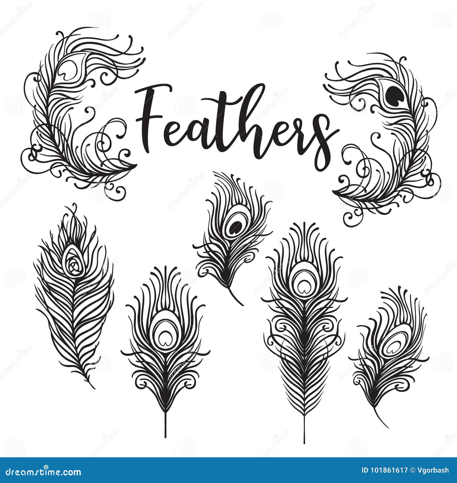 Feather Design Tattoo | TikTok