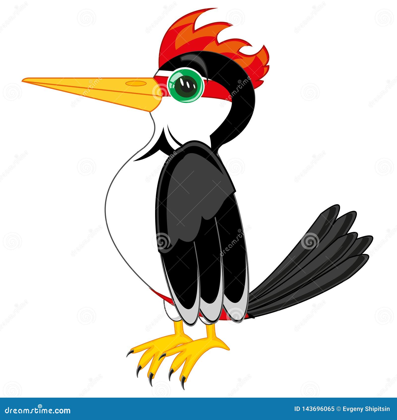 Vector Illustration of the Bird Woodpecker Cartoon Stock Illustration -  Illustration of animal, feather: 143696065