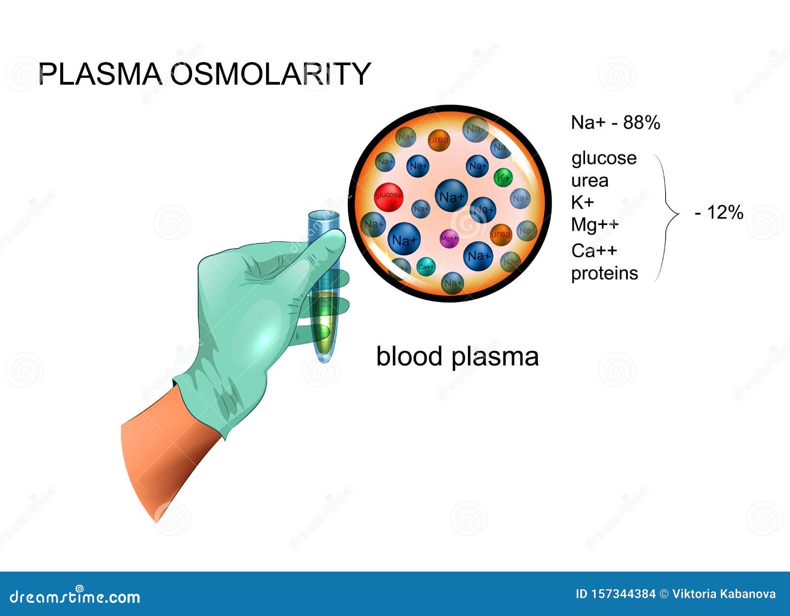 Plasma Osmolarity, Composition Stock Vector Illustration of