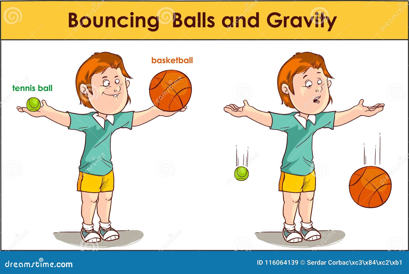  of a bouncing balls and gravity