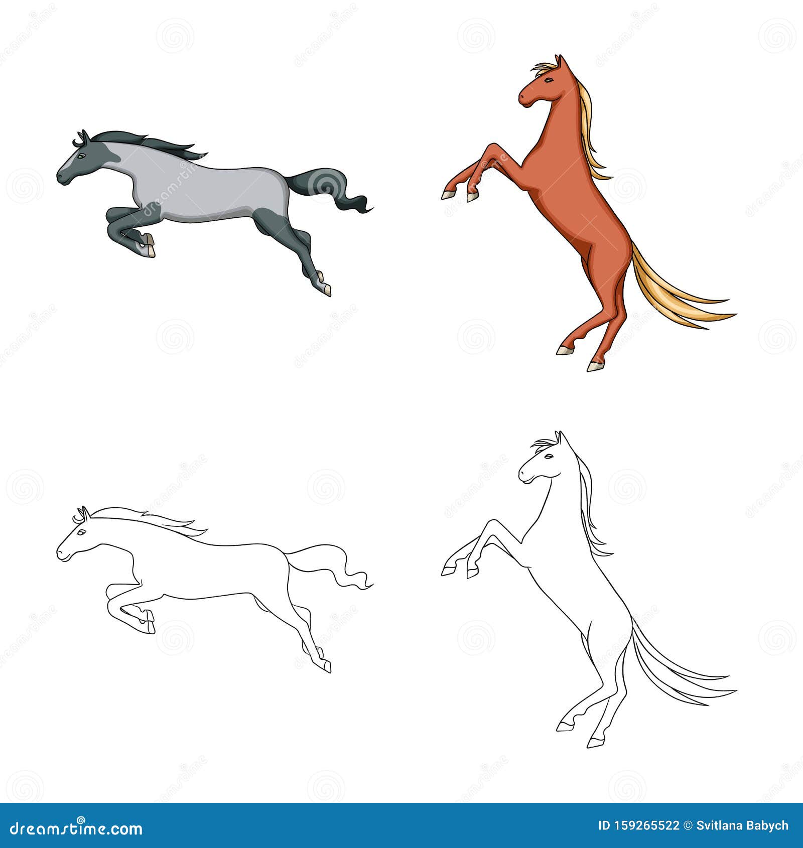   of breed and equestrian sign. set of breed and mare  icon for stock.