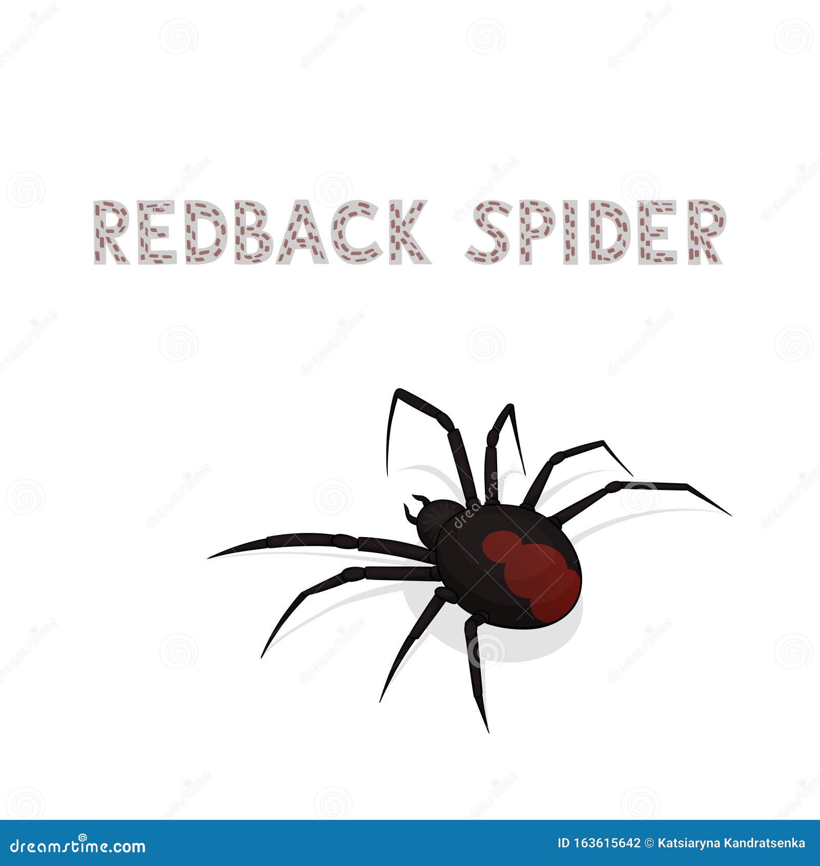 Australian Spider Images – Browse 53 Stock Photos, Vectors, and Video