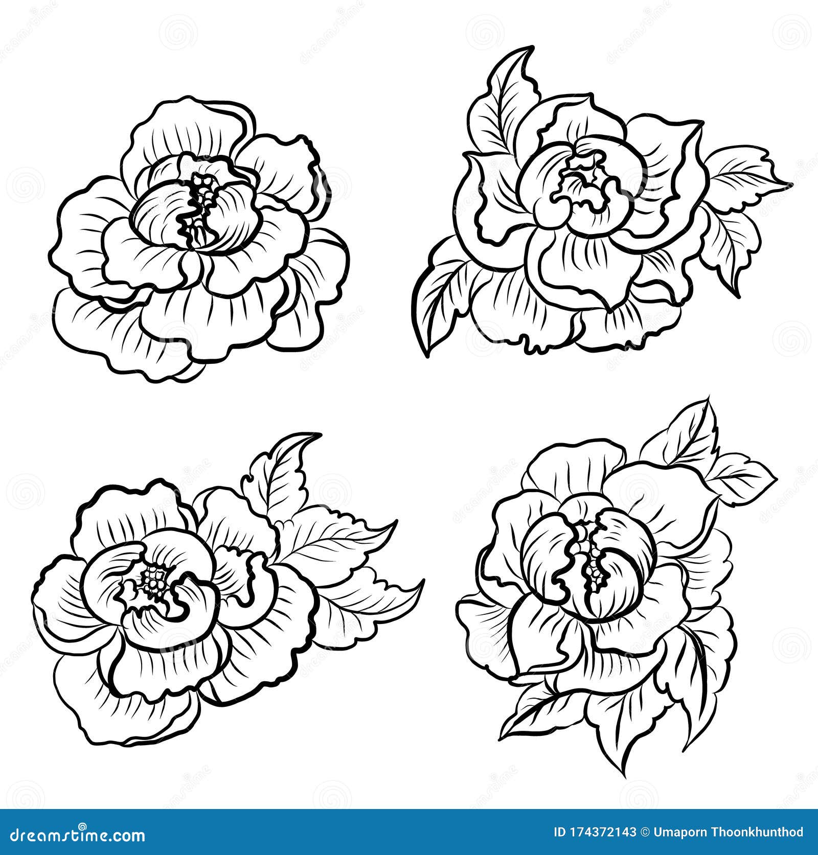 Peony Flower Vector for Tattoo Design on White  Line  Art with Peony Flower Illustration on Isolated Stock Vector - Illustration  of botany, bloom: 174372143