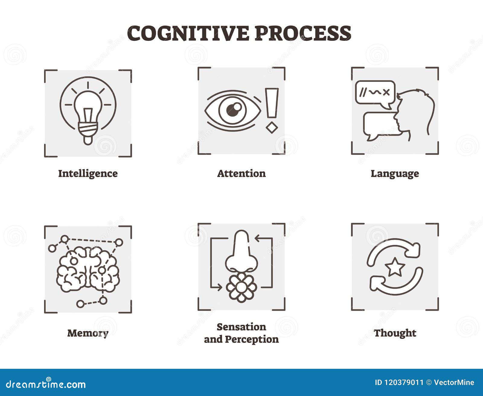   set of cognitive process. scheme with , attention, and perception types. psychology basics icon collection.