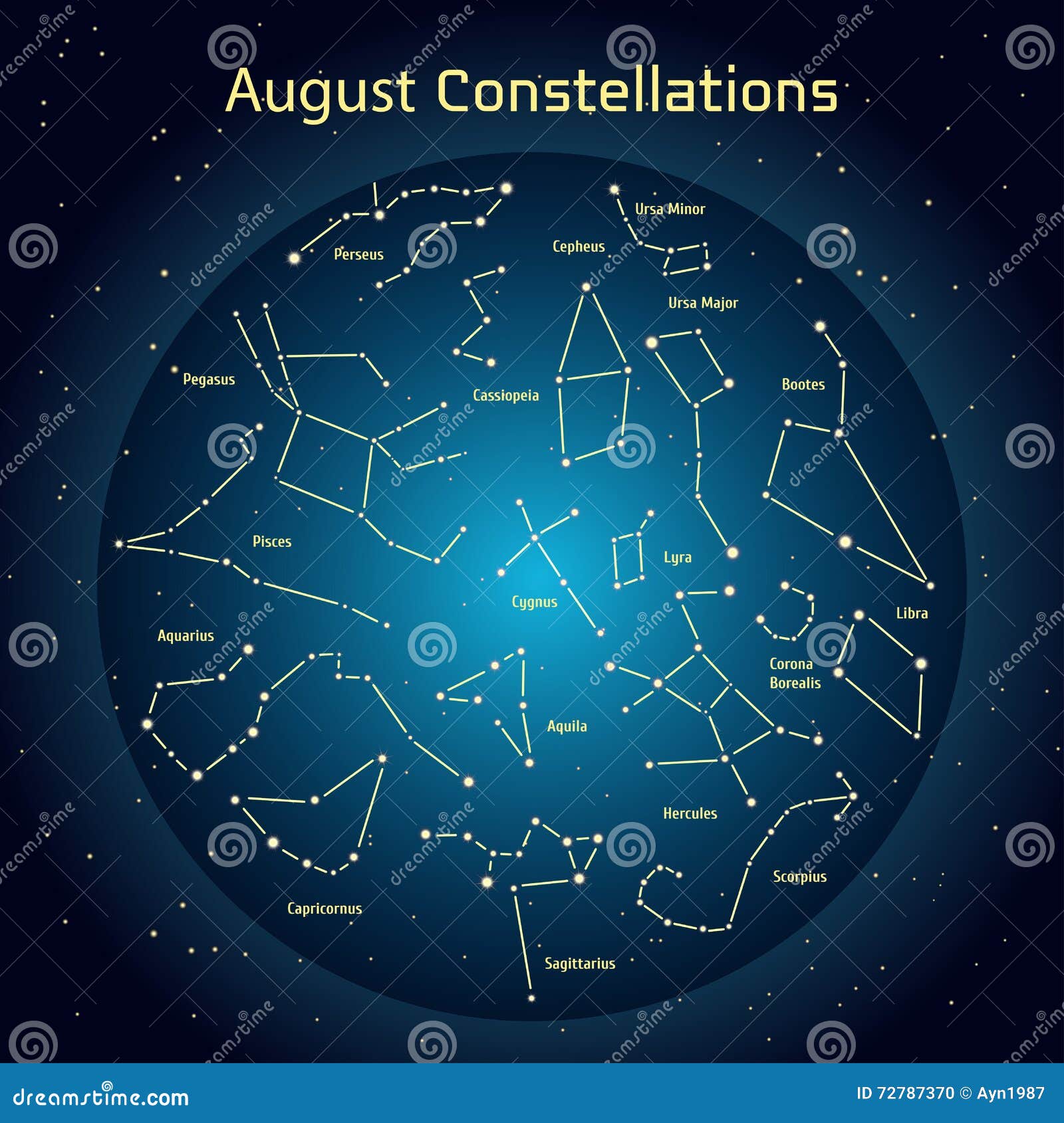 Vector Illustration of the Constellations the Night Sky in August