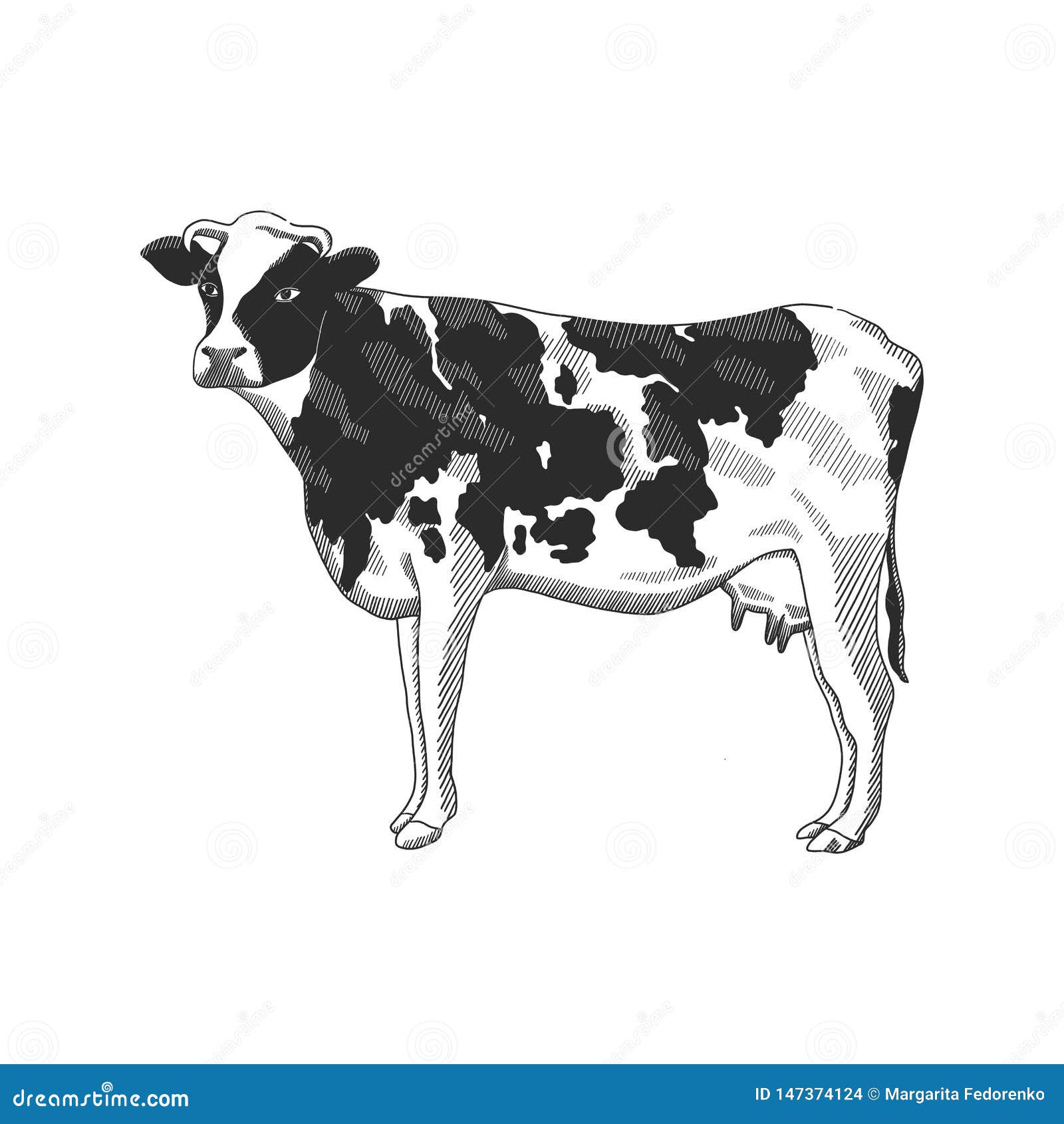 Ref:094 Cow Drawing Art Print Vintage Abstract Cow Ink Drawing Printable Digital Download