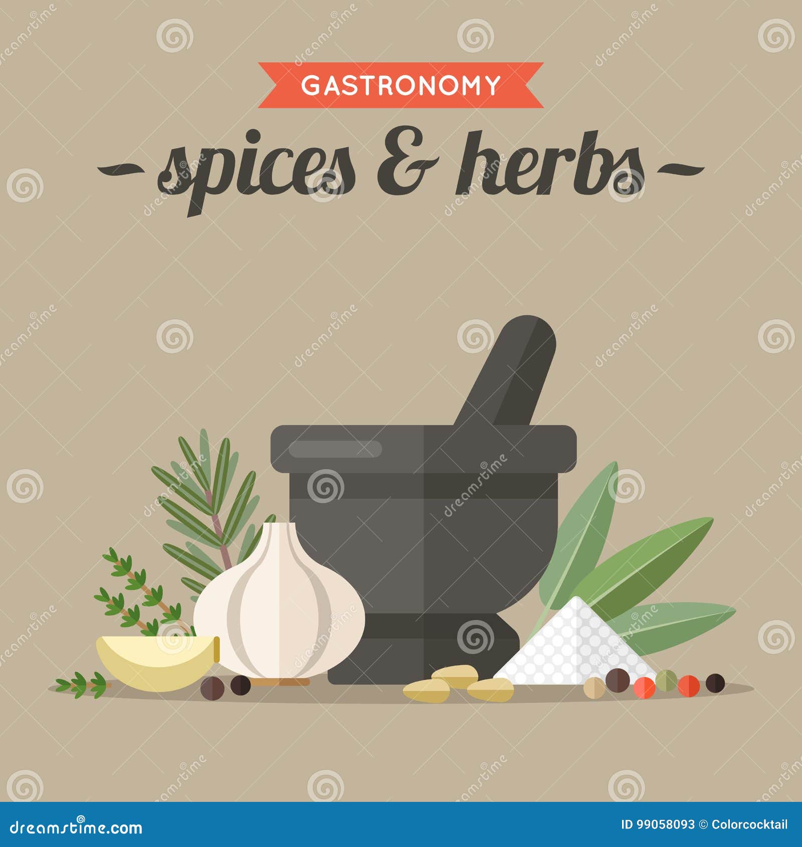 Spices and herbs stock vector. Illustration of sage, season 99058093