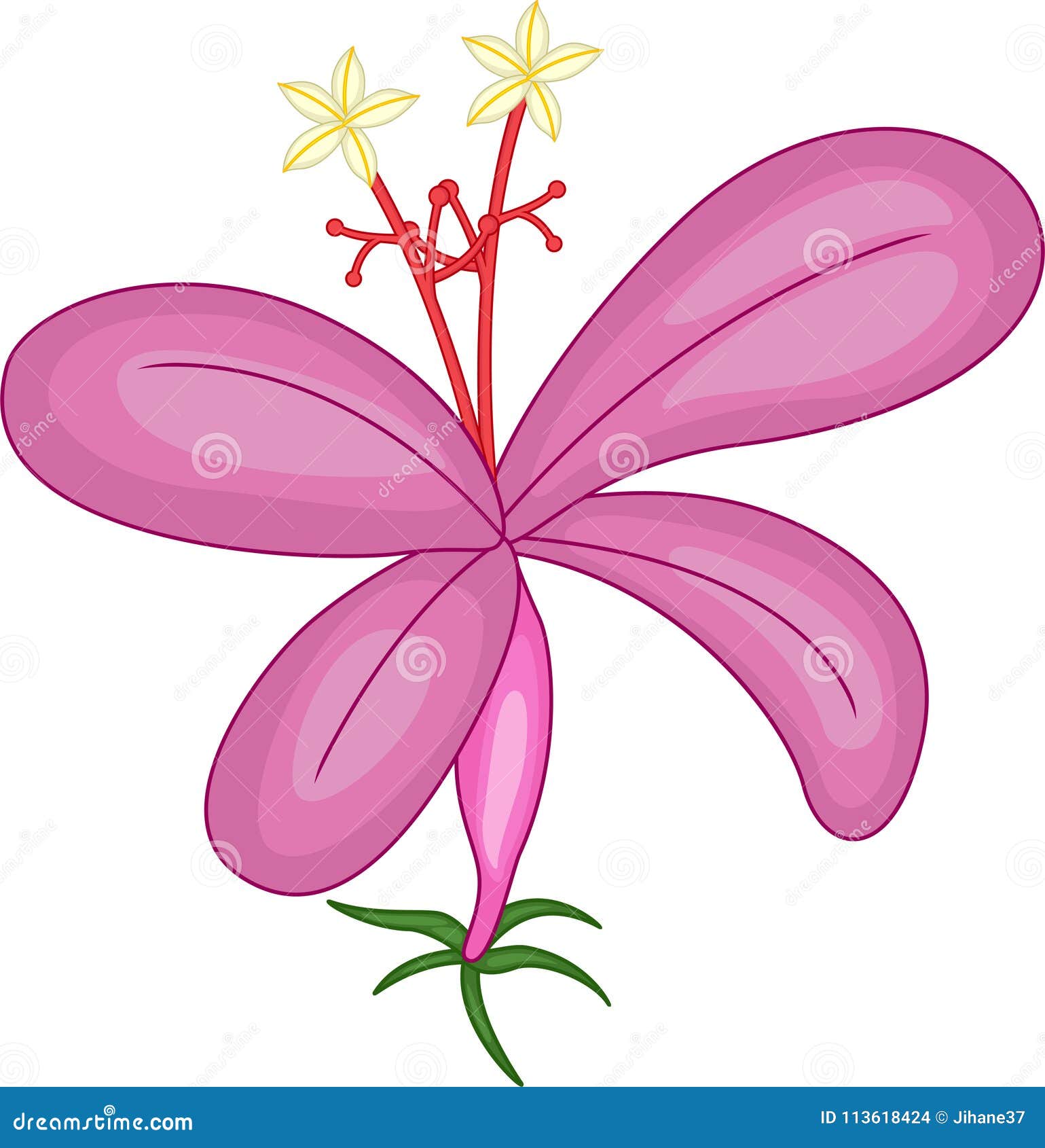Cute Orchid Cartoon On White Background Stock Illustration
