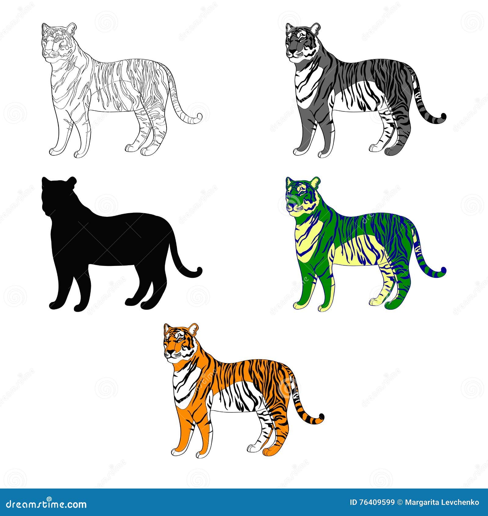 Vector Illustration Depicting a Tiger. Line Silhouette, Black and White,  Color. Stock Illustration - Illustration of roaring, monochrome: 76409599