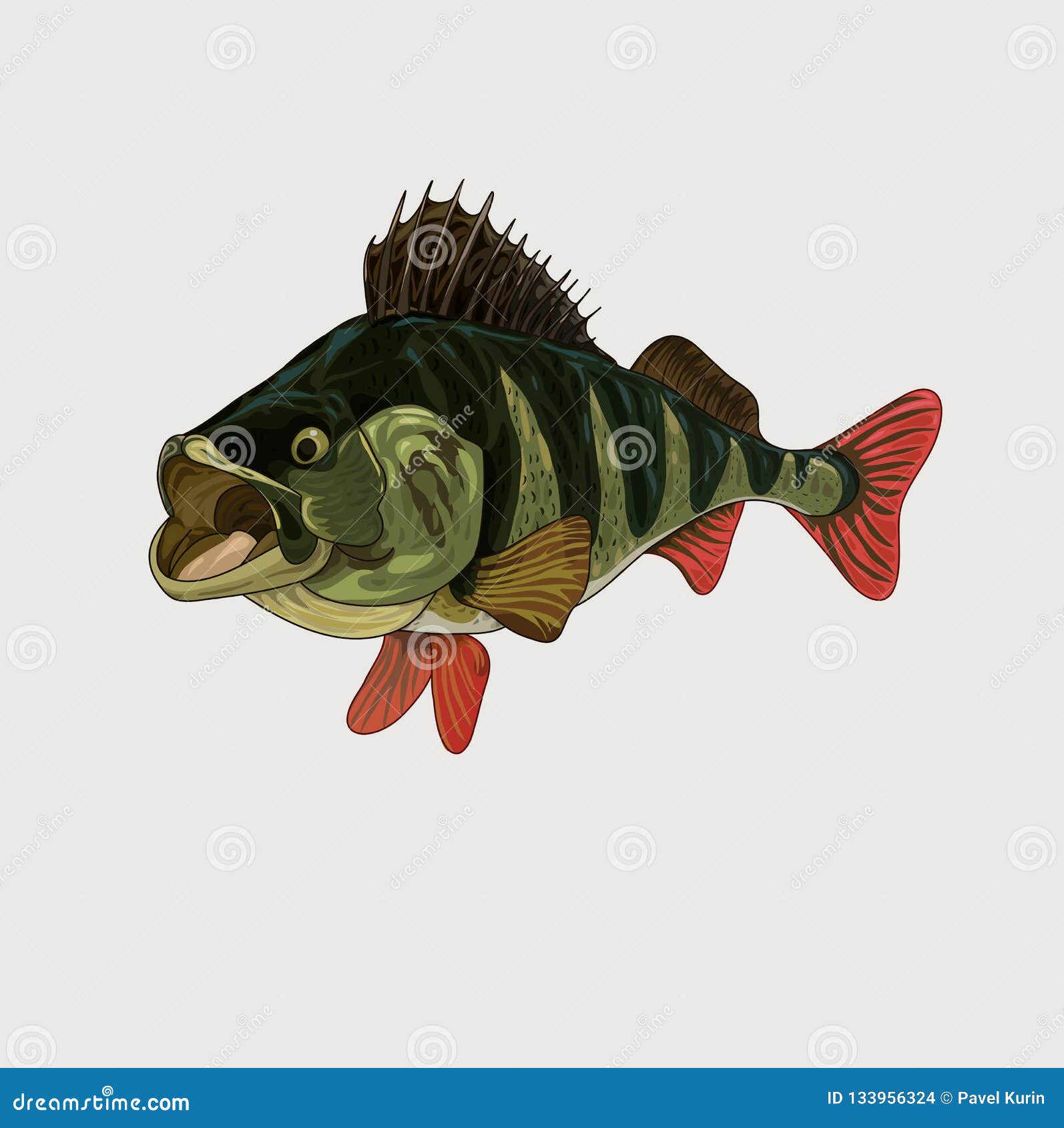 Pink Striped Bass Sticker - Speedpainting Style with Open Mouth Stock  Illustration - Illustration of striped, light: 304028173