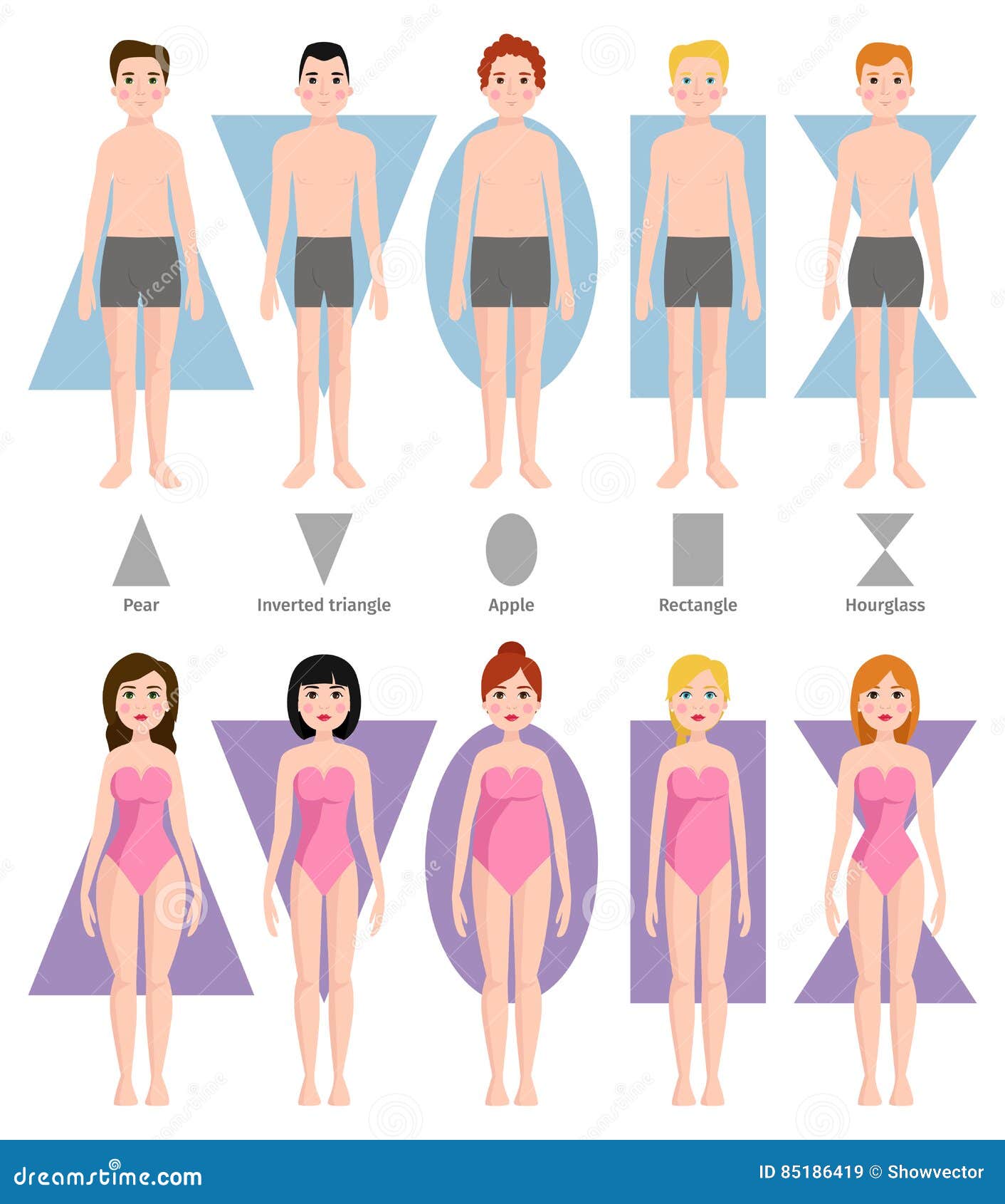 Vector Illustration of Different Body Shape Types. Stock Vector -  Illustration of hips, beauty: 85186419