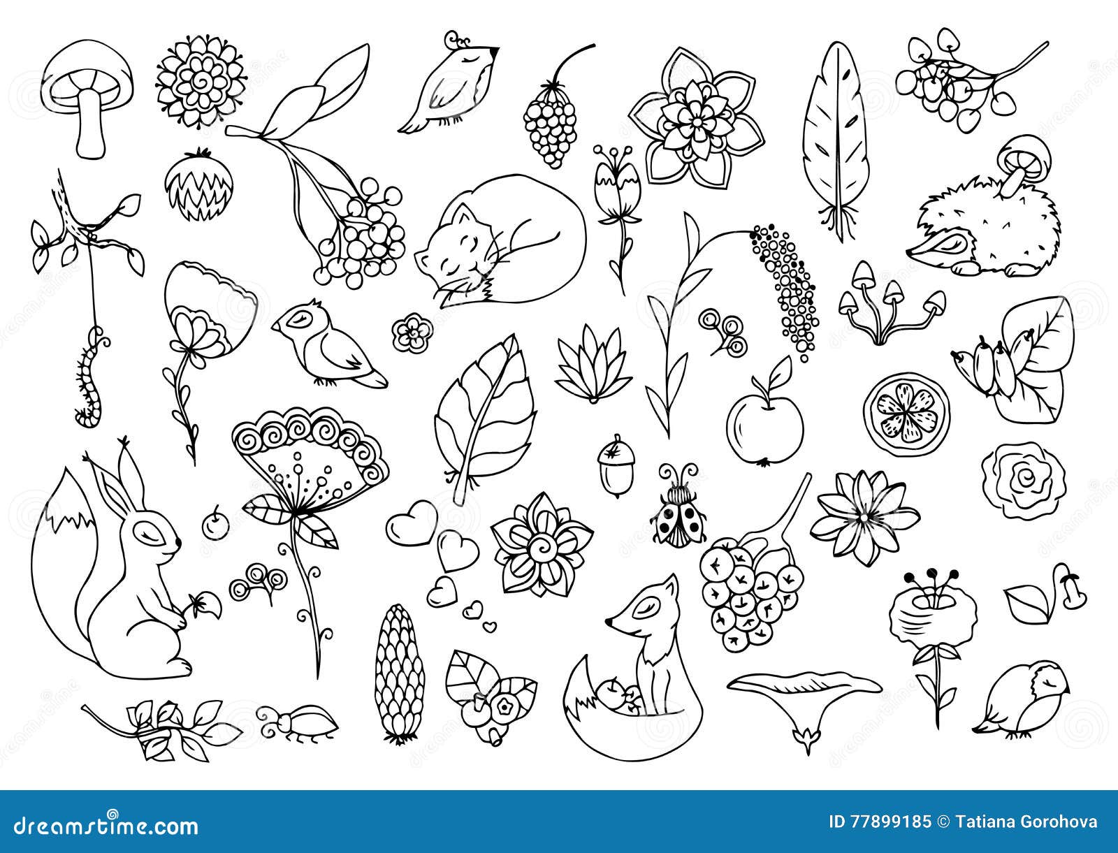 Download Vector Illustration E Set The Forest Animals And Flowers Doodle Drawing Meditative Exercises Coloring Book Anti Stock Vector Illustration Of Hare Butterfly 77899185