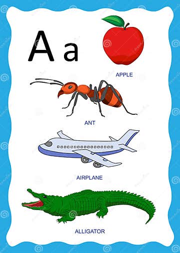 English Alphabet a with Pictures Word and Titles for Children Education ...