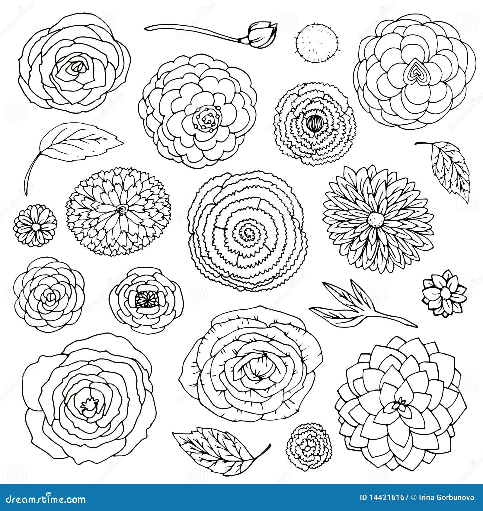 Vector Illustration Fantasy Flower Doodles Set Black and White ...