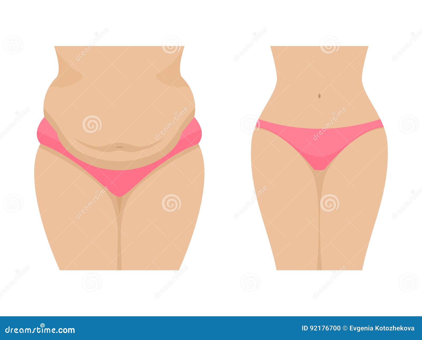   of a fat and thin female belly