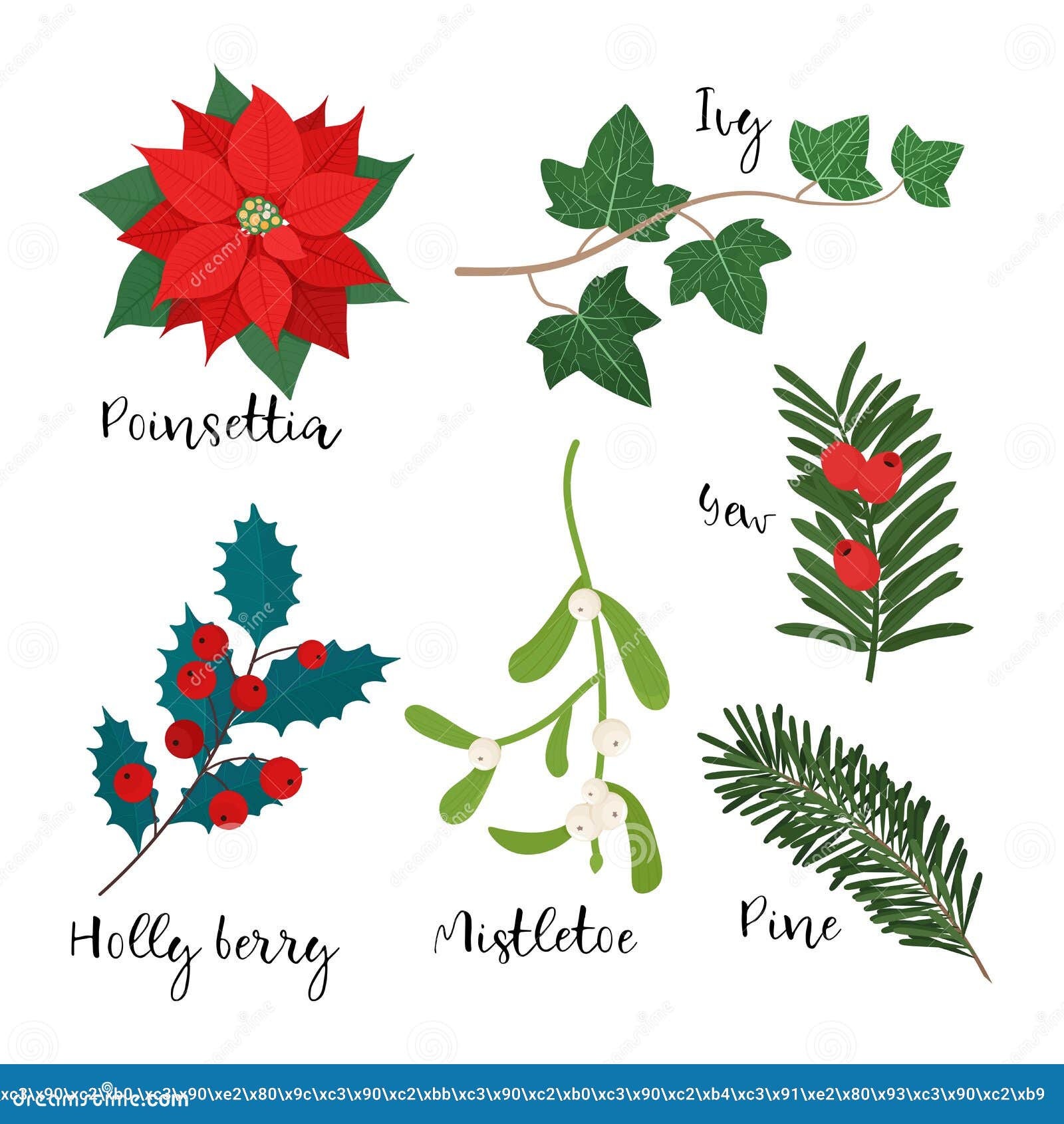 Set of Different Christmas Plants. Vector Illustration in Flat Style