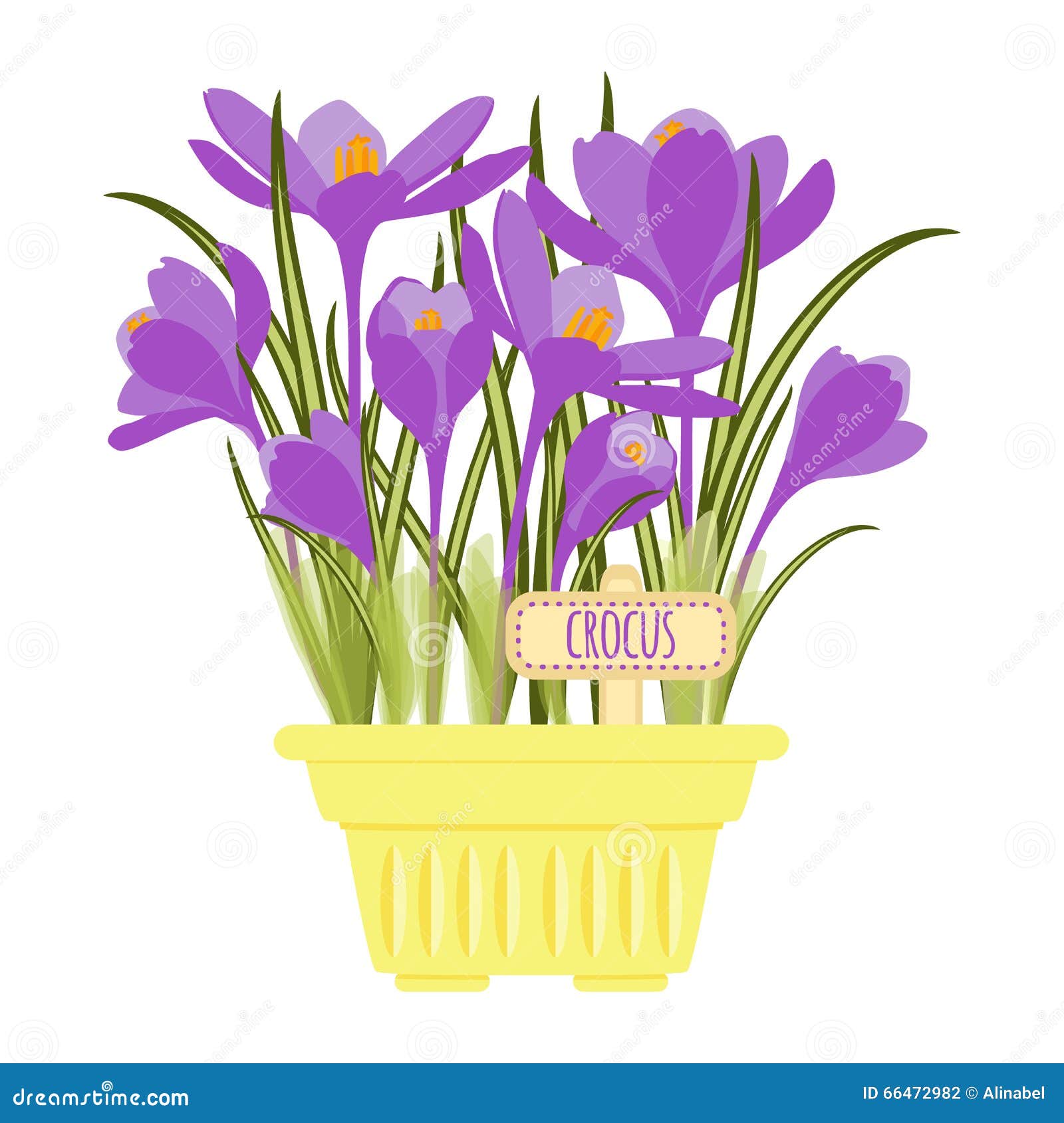 Vector Illustration  With Flower Pot  Stock Vector 
