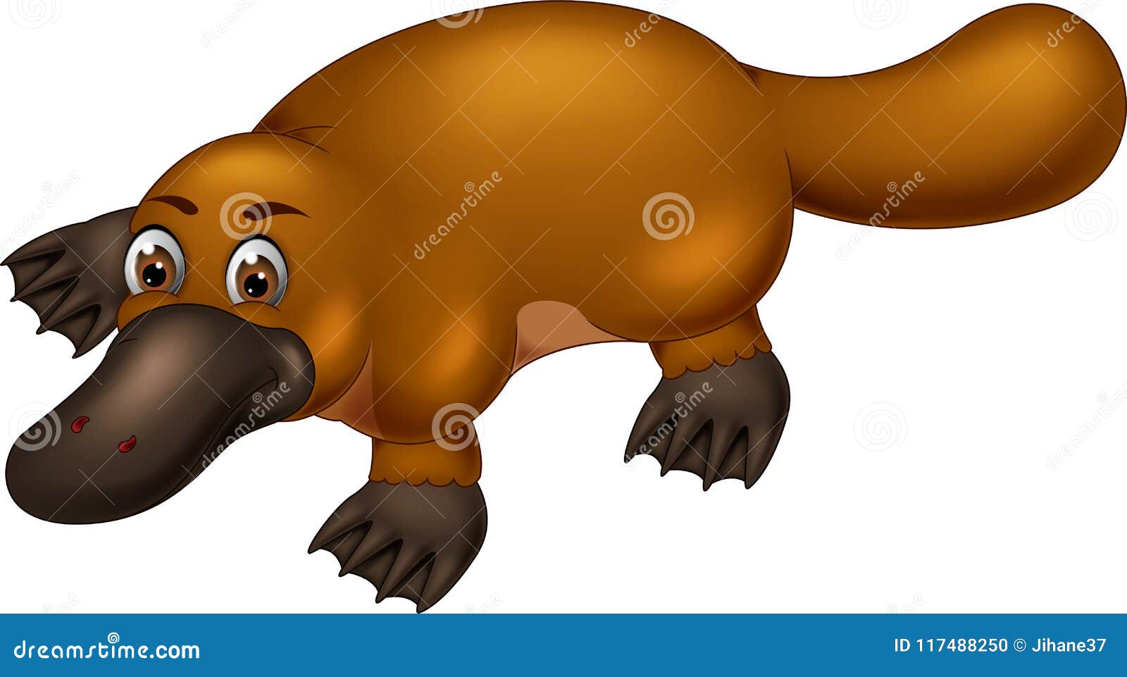 cartoon about platypus cartoon about platypus