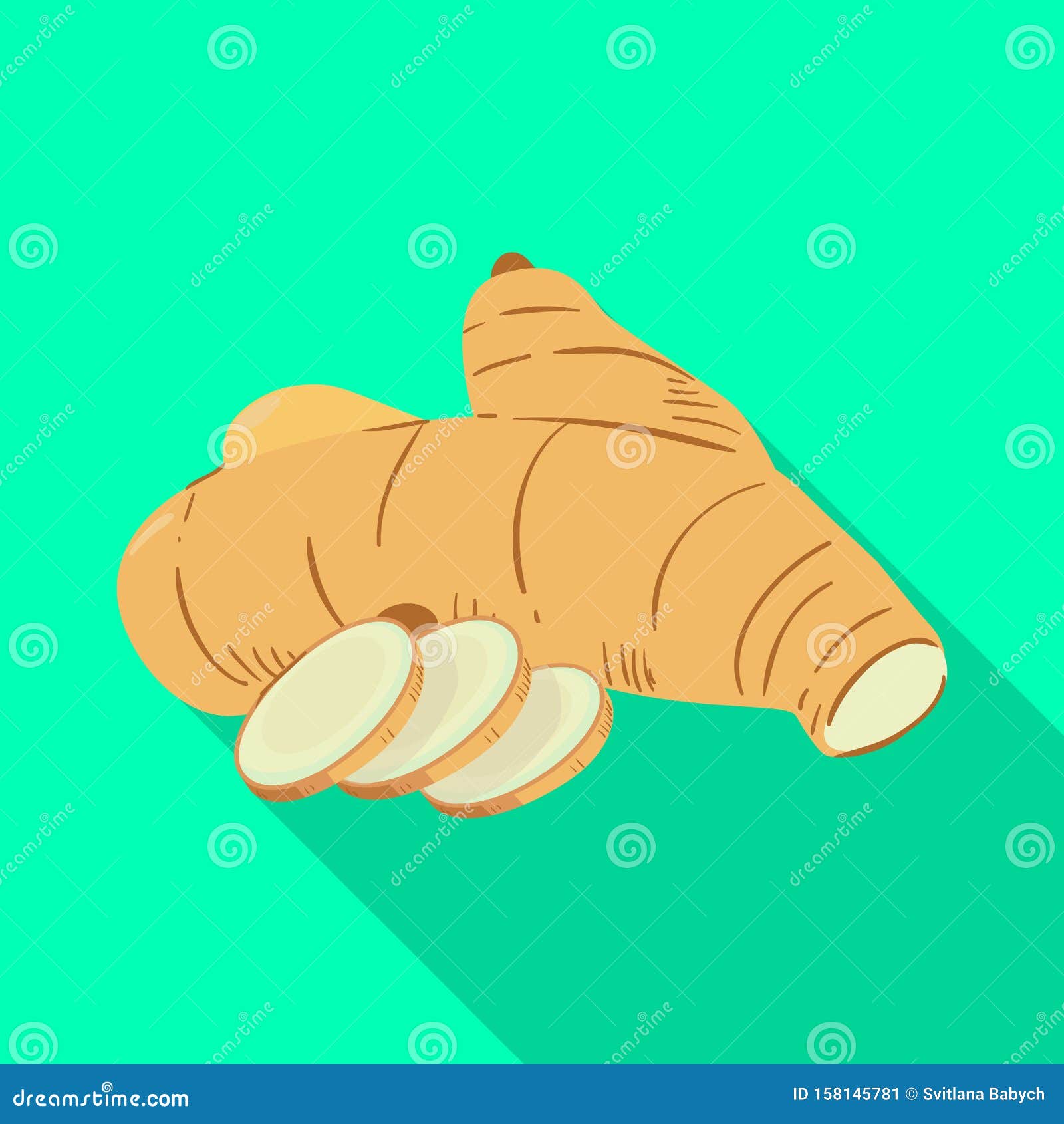 Vector Illustration of Ginger and Root Symbol. Set of Ginger and Yellow