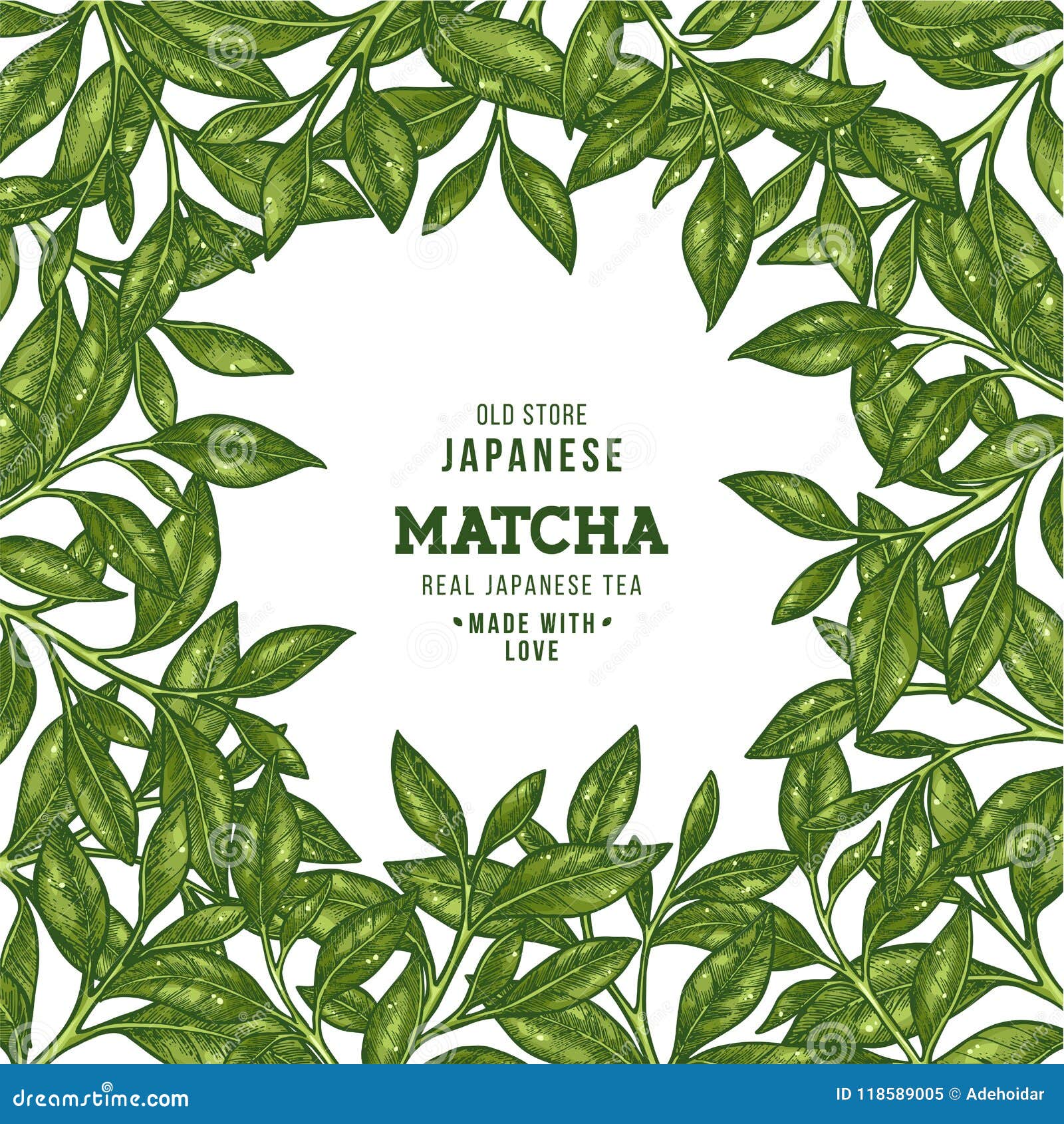 Green Tea Leaf Frame. Engraved Leaf Design Template. Vector