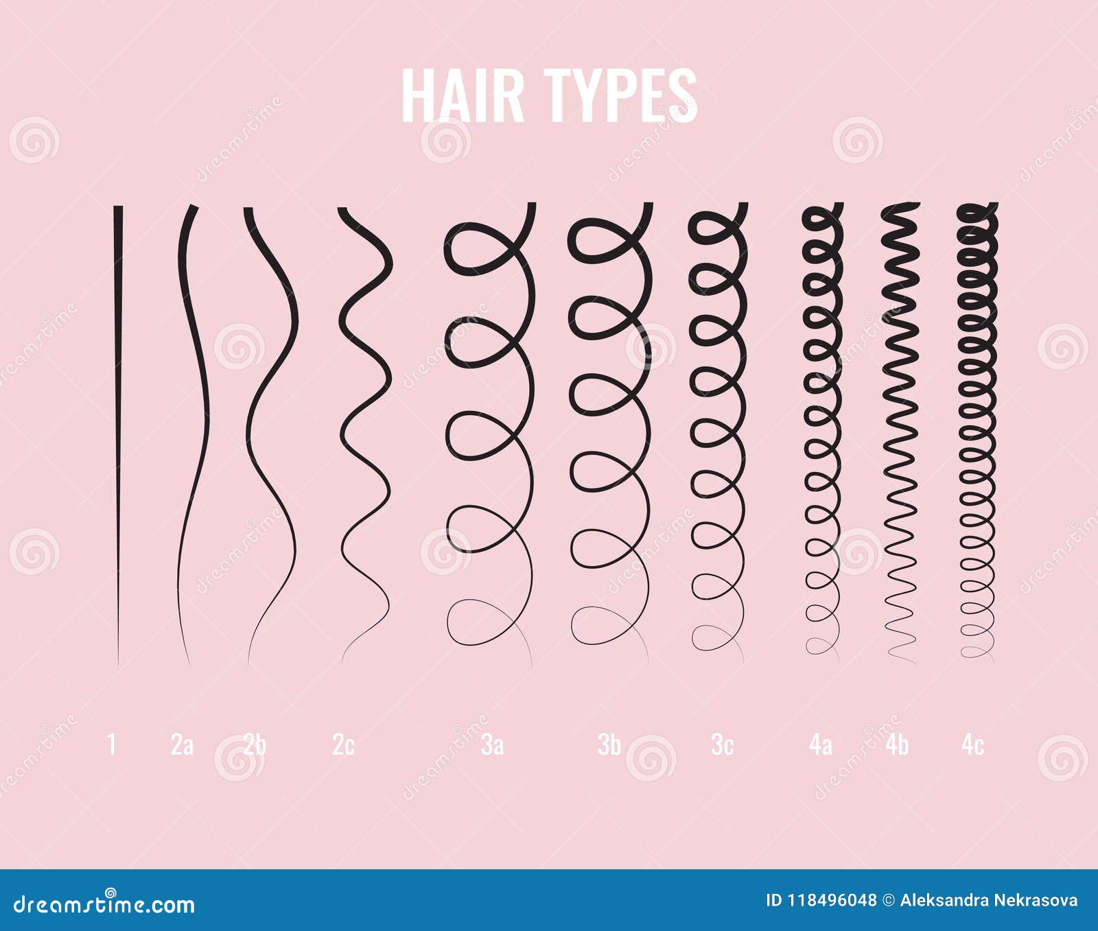 Vector Illustration of a Hair Types Chart Displaying All Types and Labeled. Stock Vector - Illustration of mixed, chart: 118496048 Vector Illustration of a Hair Types Chart Displaying All Types and Labeled. Stock Vector - Illustration of mixed, chart: 118496048