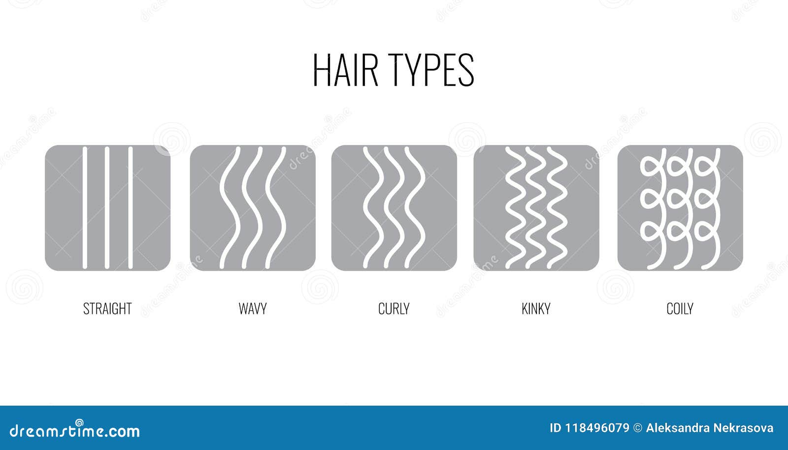   of a hair types chart displaying all types and labeled.