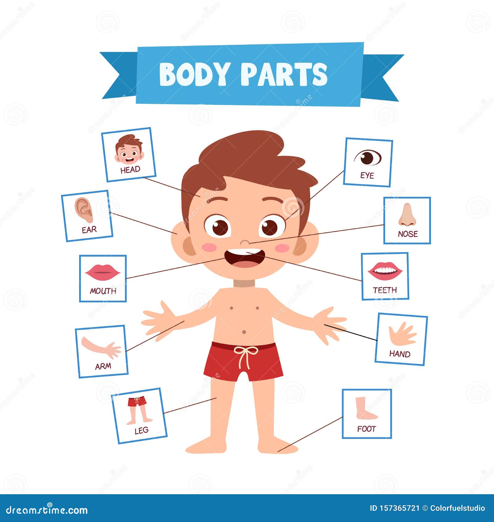 begin Slepen Ochtend gymnastiek Body Parts Kids Stock Illustrations – 406 Body Parts Kids Stock  Illustrations, Vectors & Clipart - Dreamstime