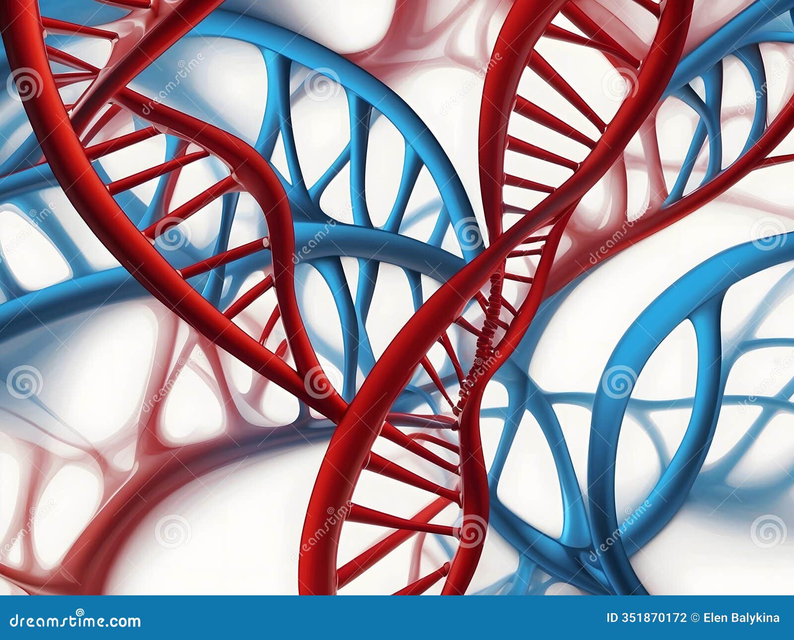   of human dna structure