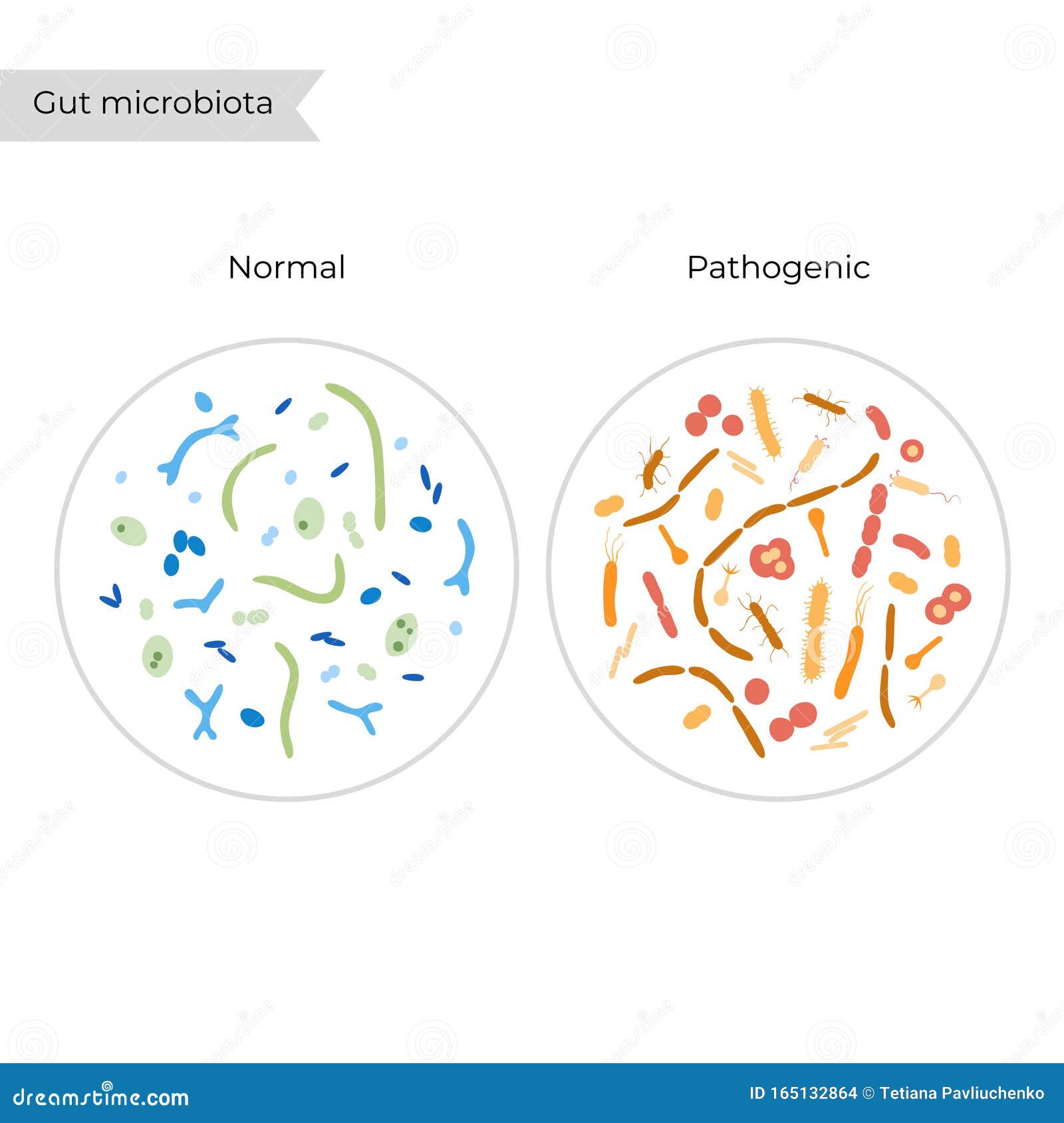 Skin Microbiota Cartoon