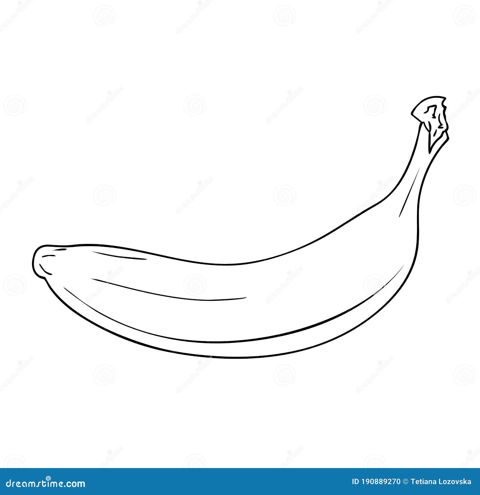 doodle freehand sketch drawing of banana fruit. 11235531 PNG