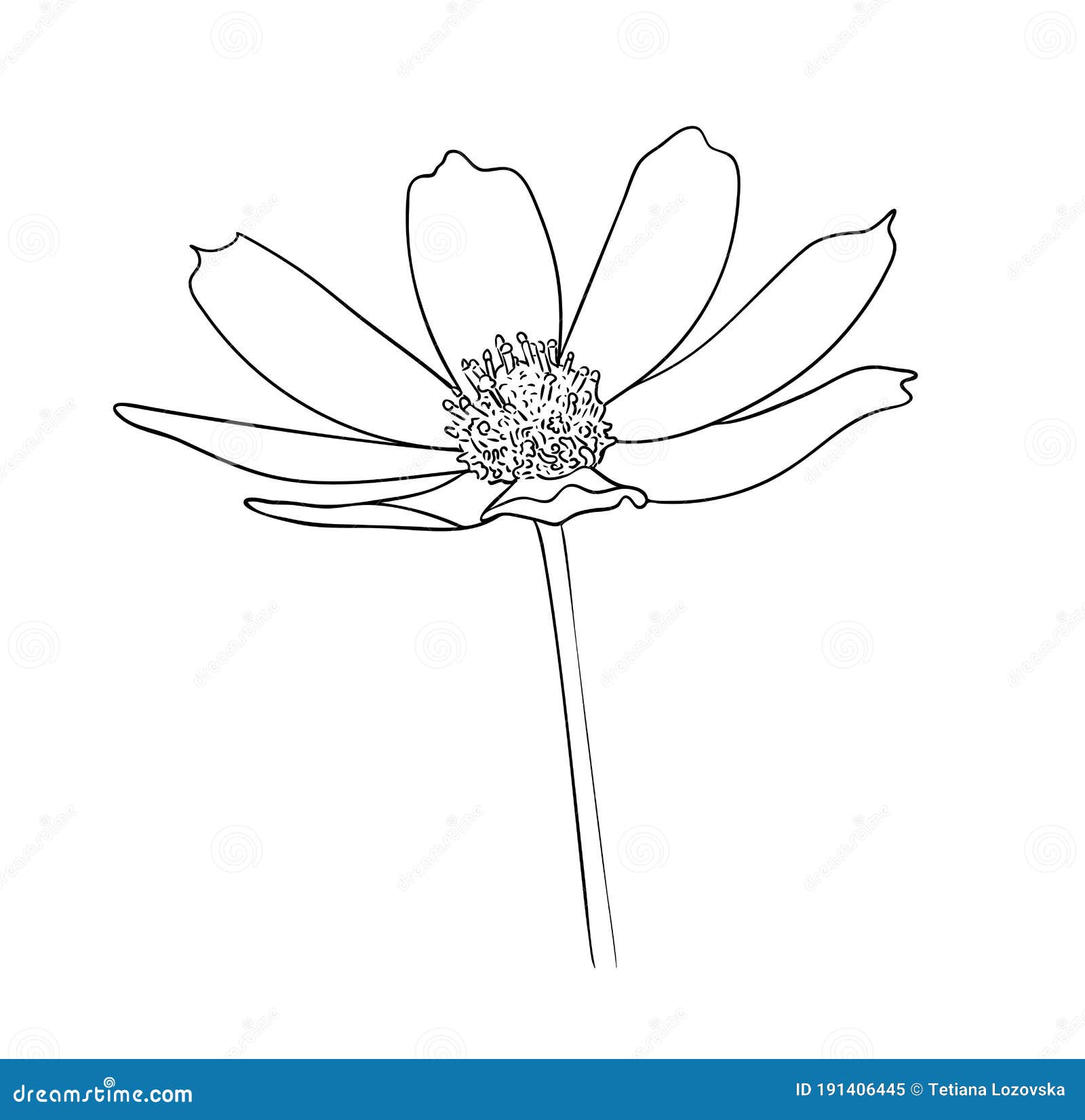 set-of-isolated-cosmos-in-34-styles-vector-illustration