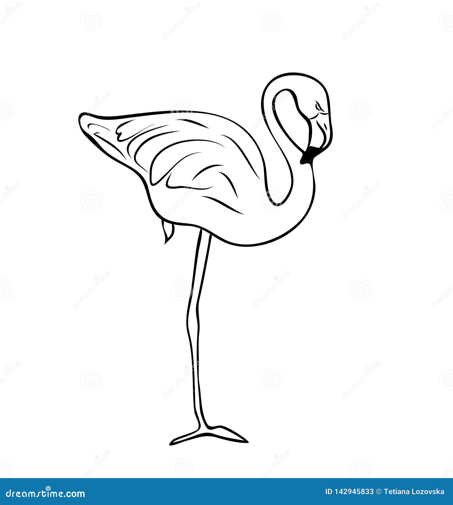 Flamingo in Black and White Colors Stock Vector - Illustration of monotone,  outline: 142945833