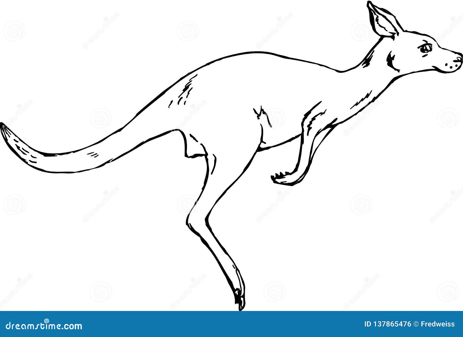 Kangaroo Hopping Vector Illustration 11129732