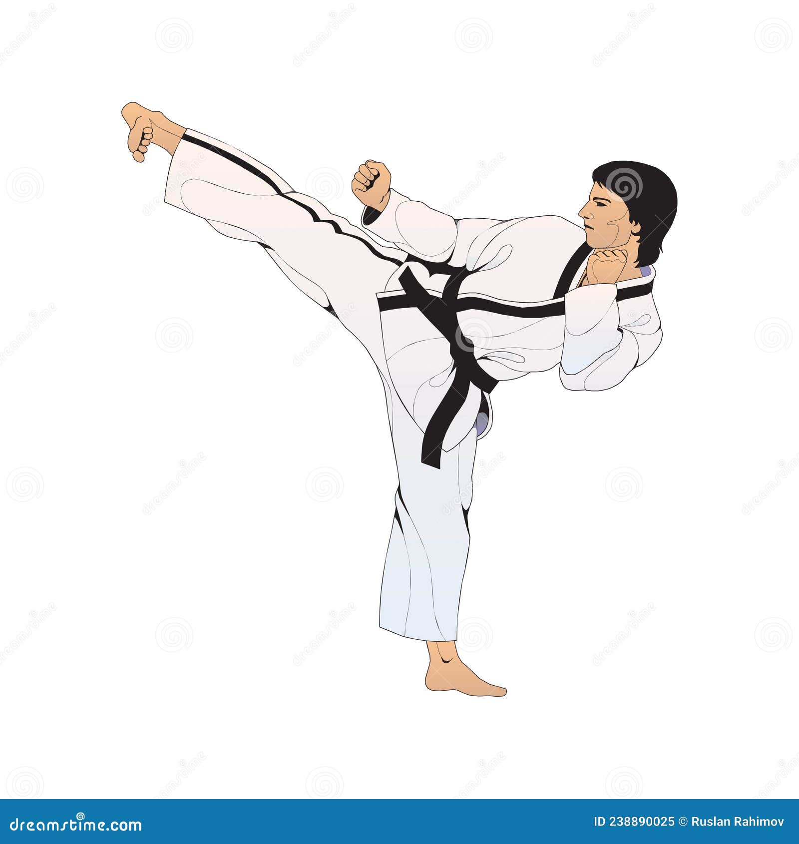 Vector Illustration of Karate Isolated on a White Background in EPS10 ...