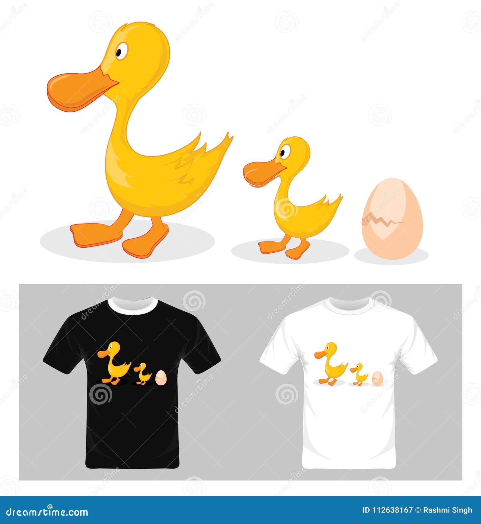 Hand drawn duck life cycle Royalty Free Vector Image