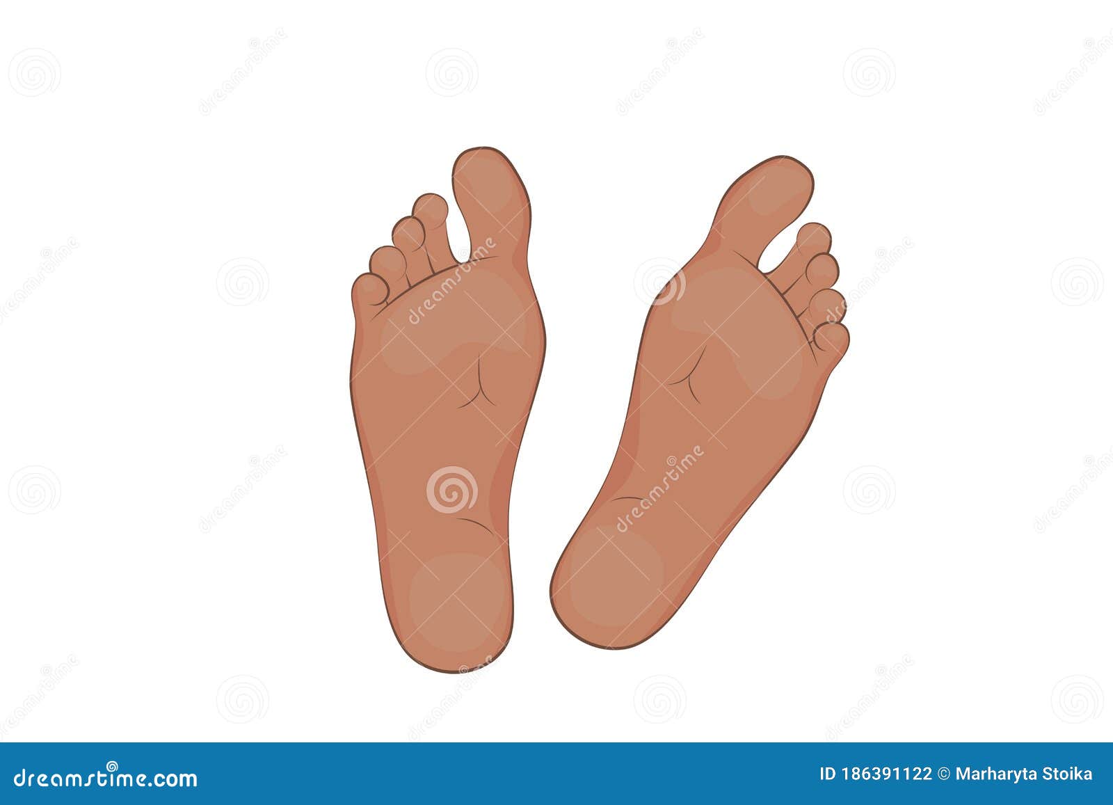 Vector Illustration of a Mans Feet. Stock Vector Illustration of feet
